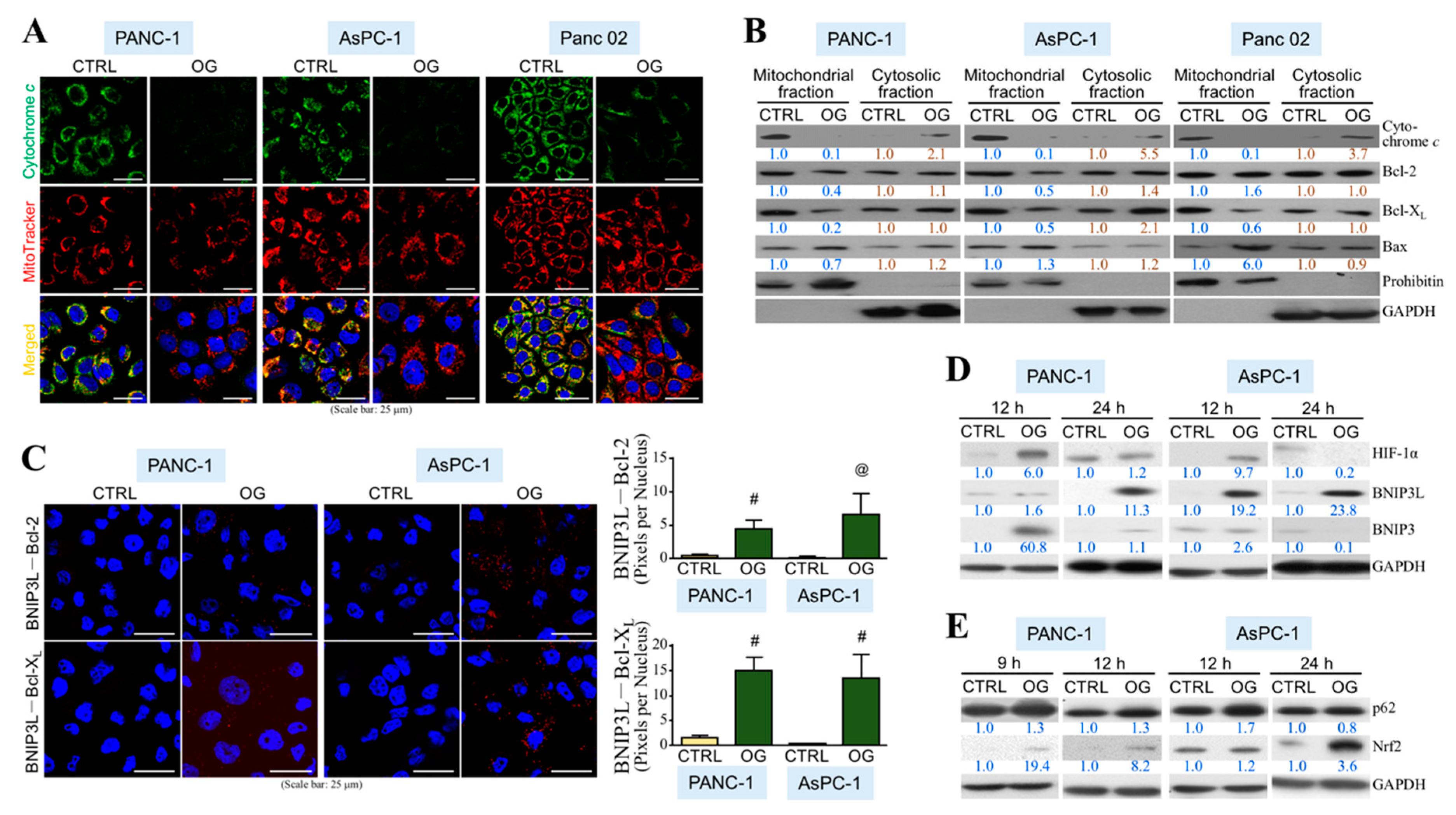 Cells 09 00091 g002