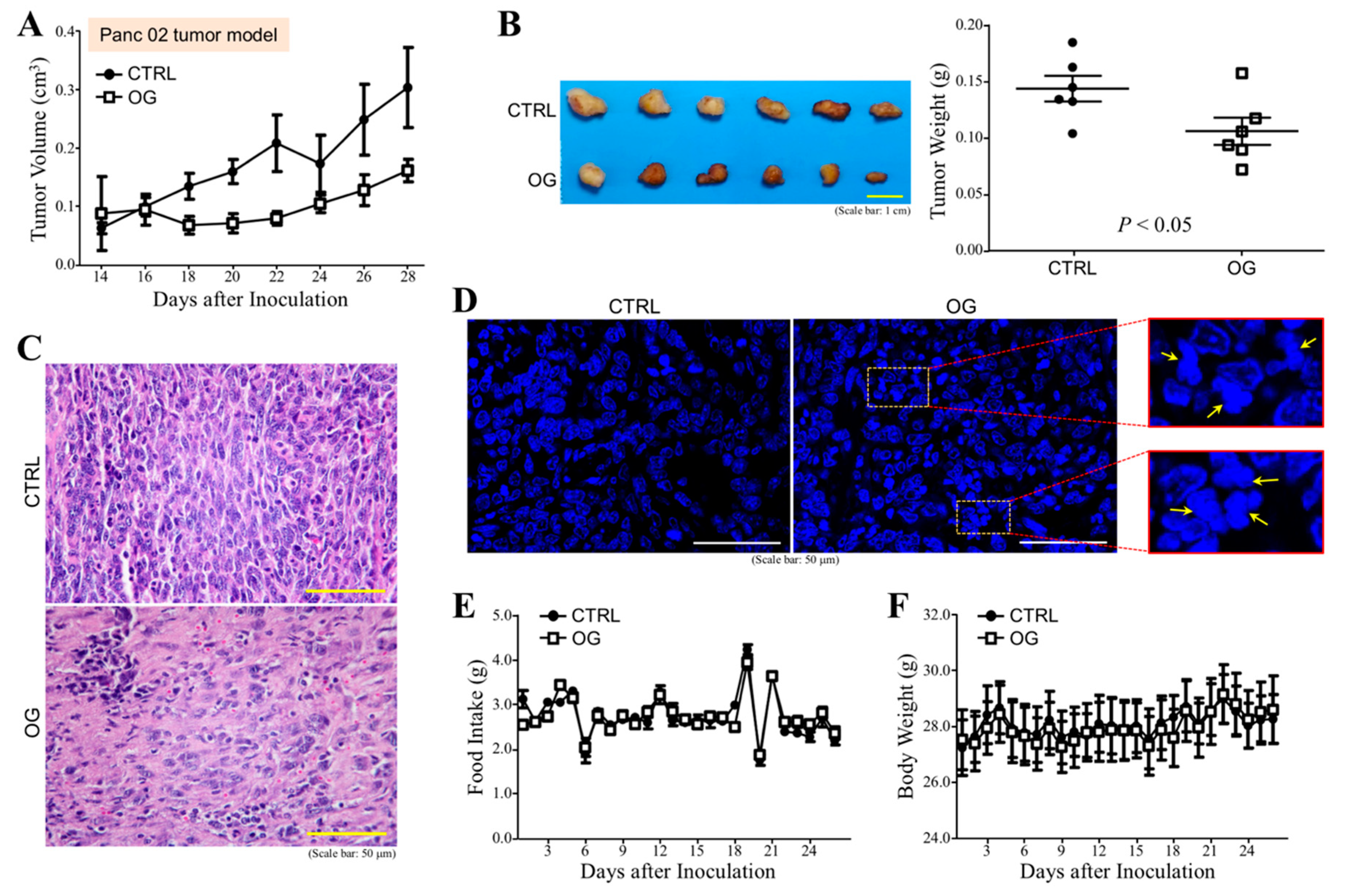 Cells 09 00091 g003