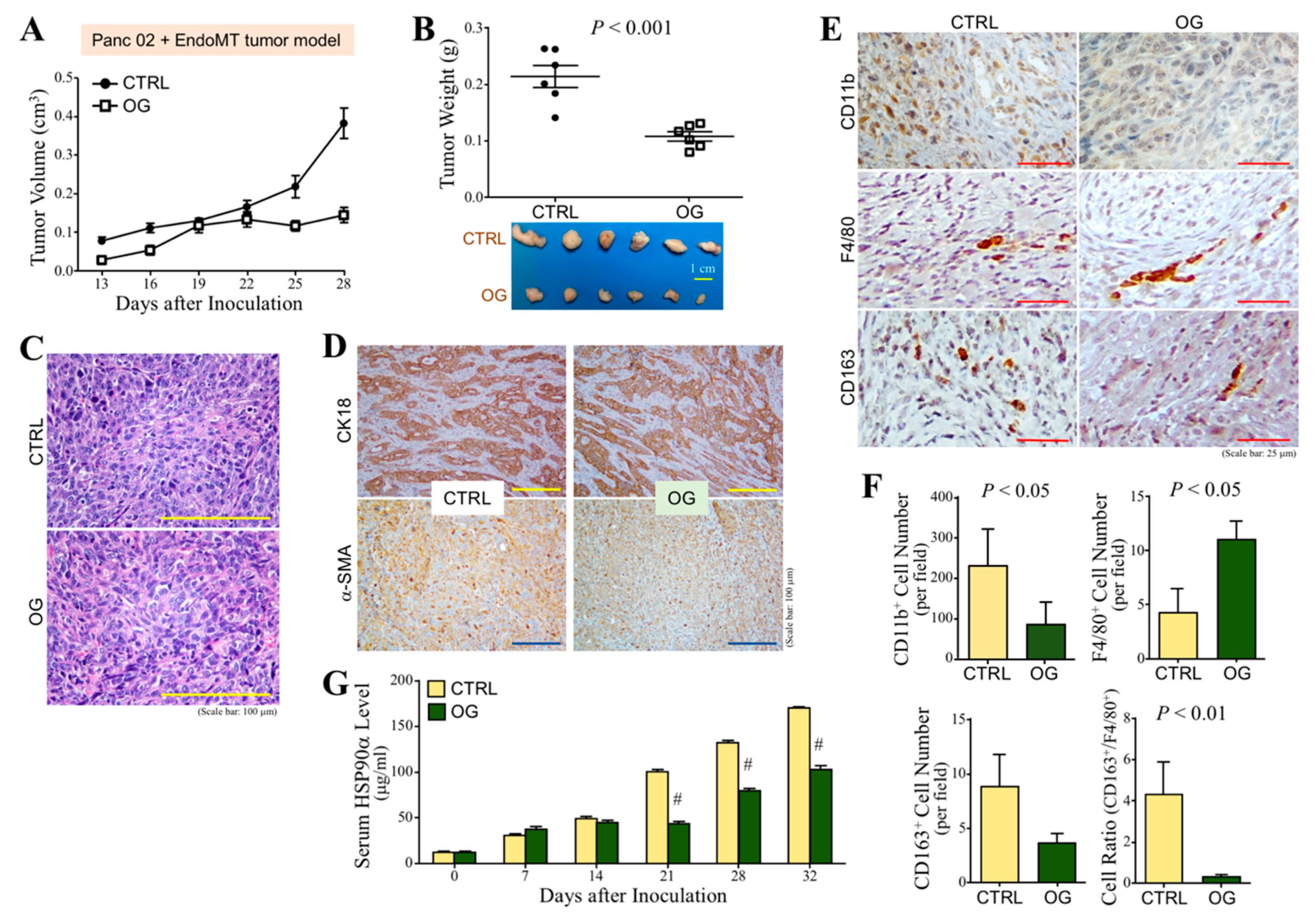 Cells 09 00091 g005