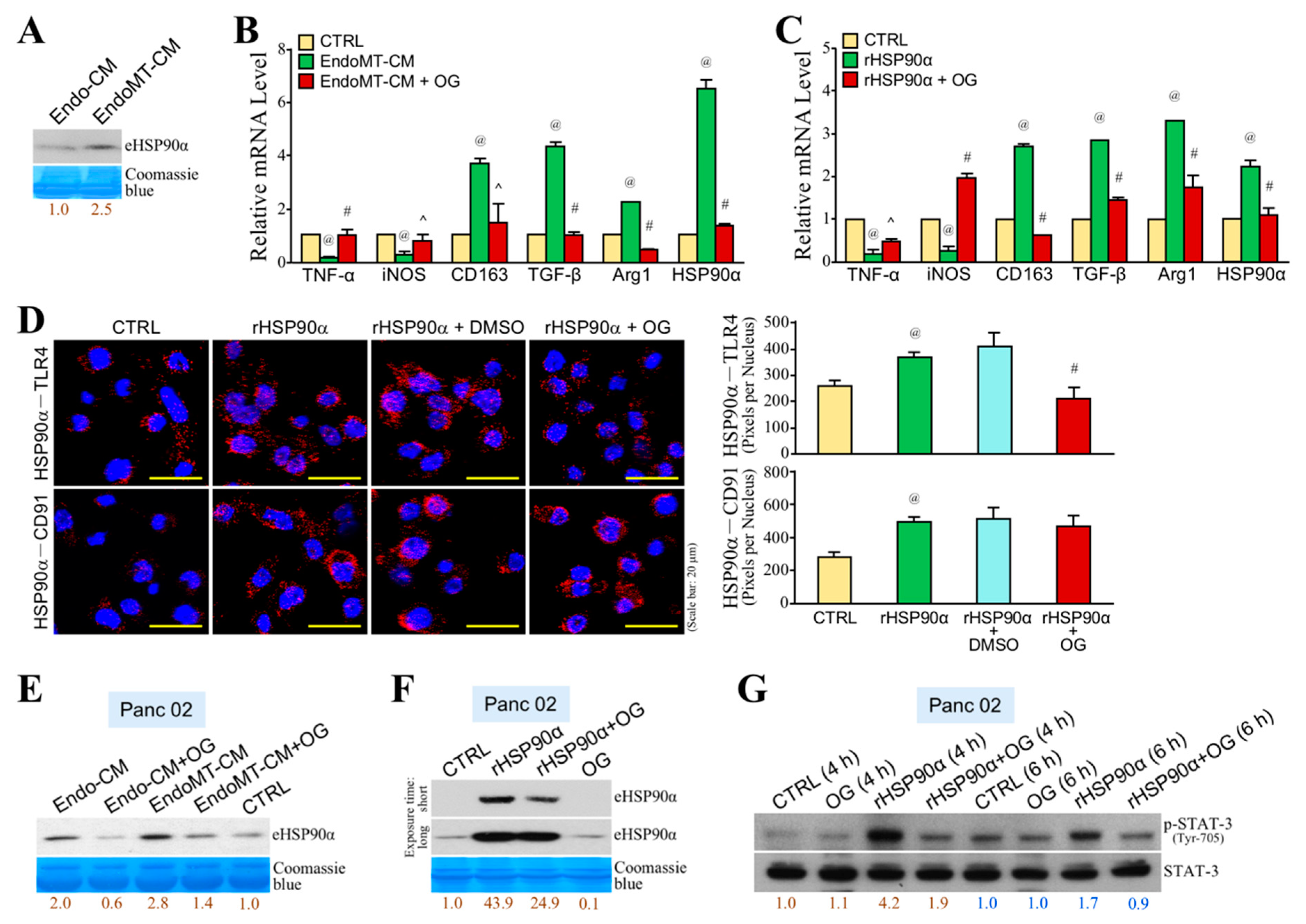 Cells 09 00091 g006