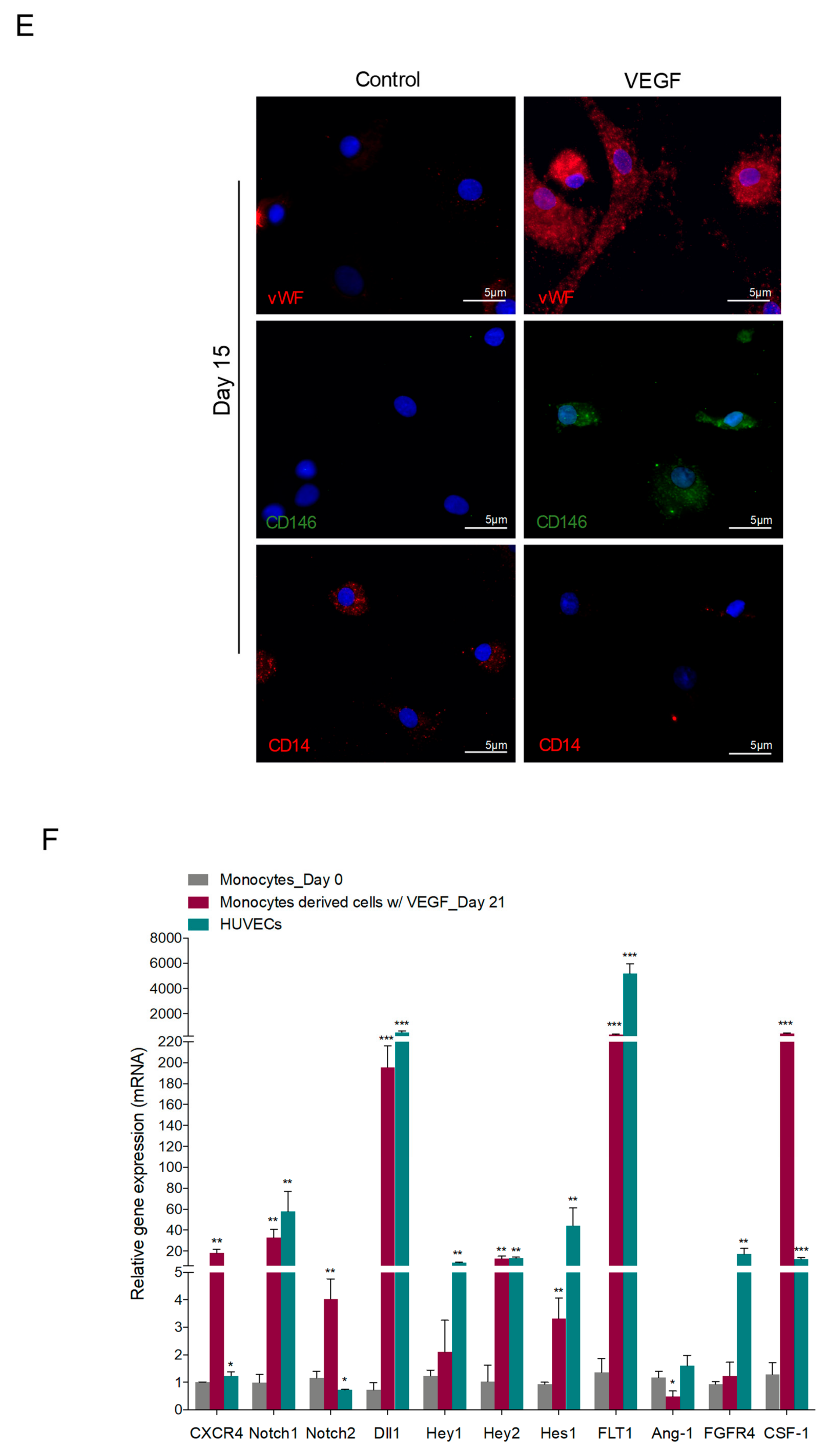 Cells 09 00107 g001b Cells 09 00107 g001b
