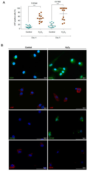 Cells 09 00107 g002a Cells 09 00107 g002a