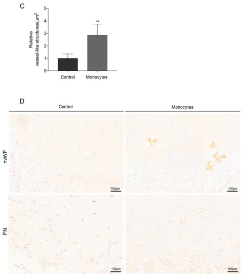 Cells 09 00107 g003b Cells 09 00107 g003b