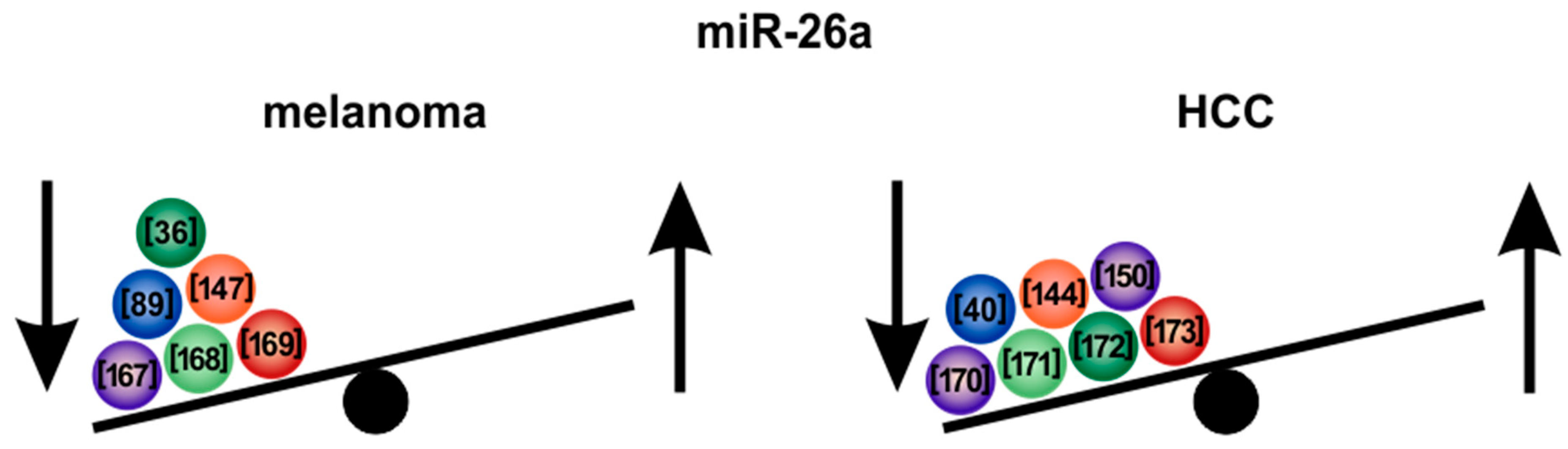 Cells 09 00114 g005 Cells 09 00114 g005