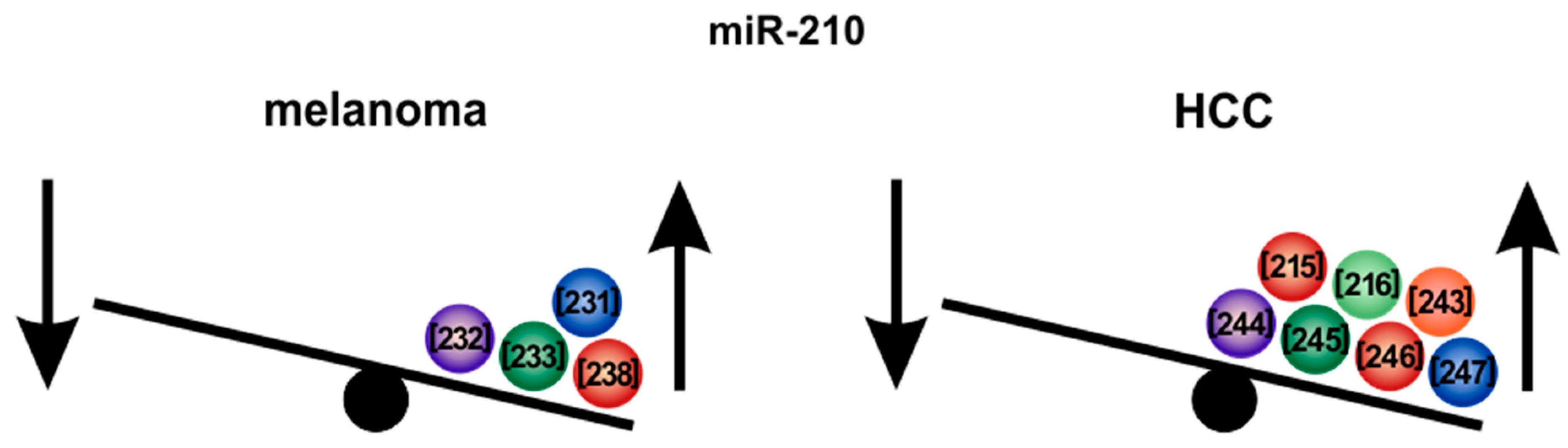 Cells 09 00114 g008 Cells 09 00114 g008