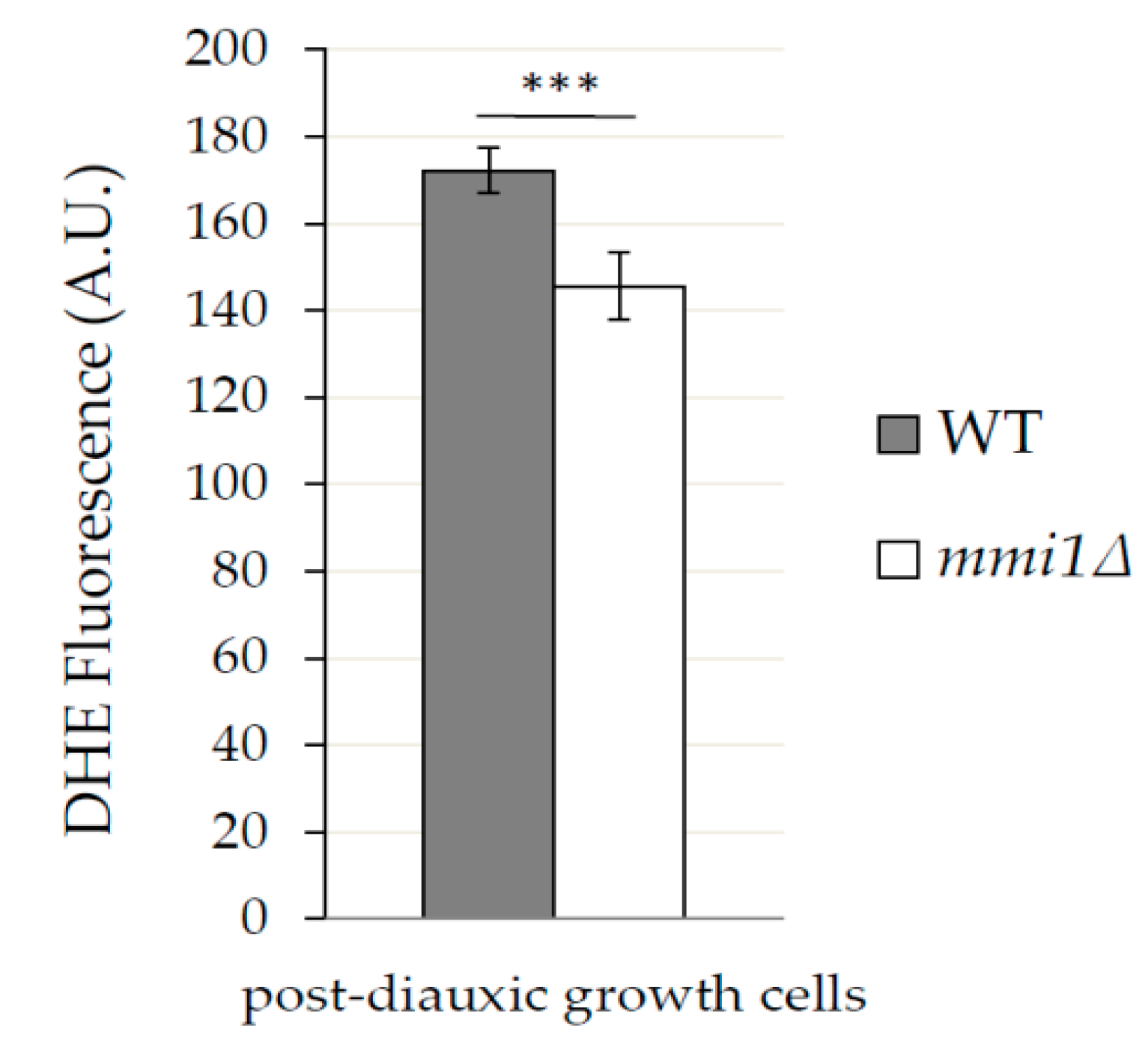 Cells 09 00138 g006 Cells 09 00138 g006