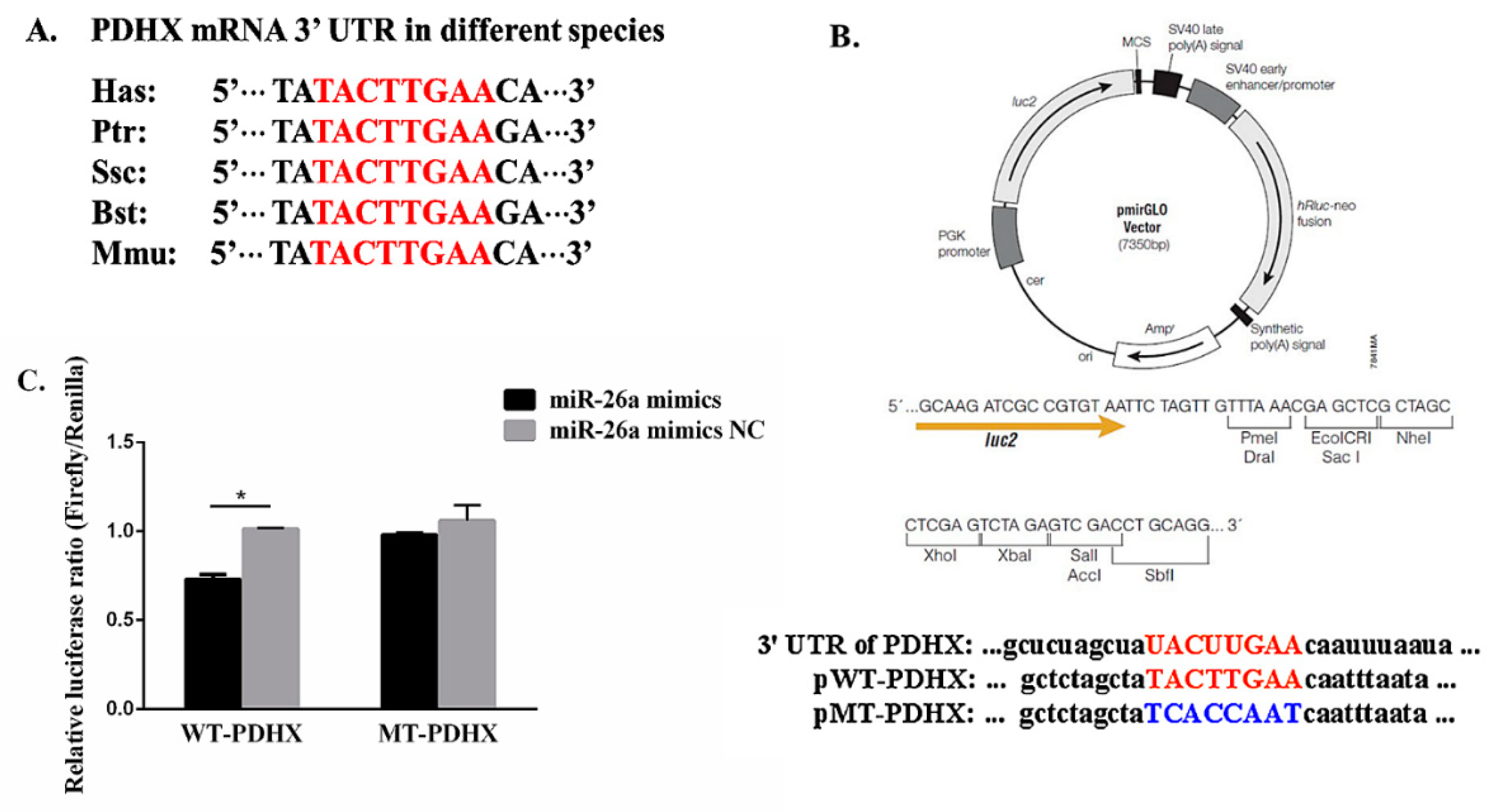Cells 09 00146 g001