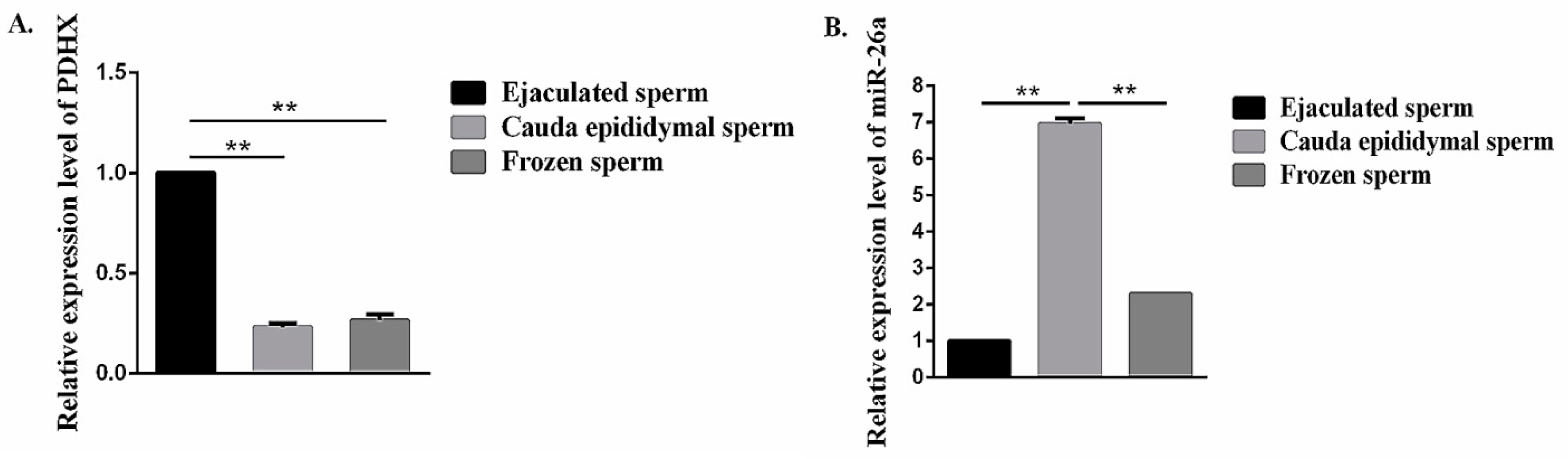 Cells 09 00146 g004