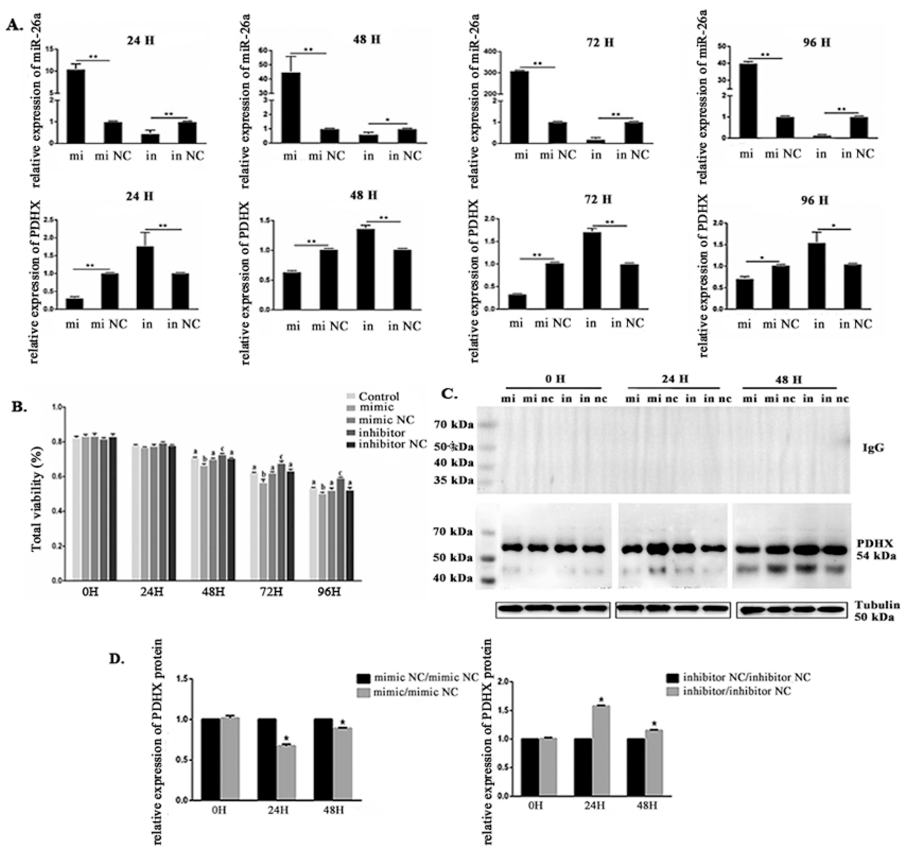 Cells 09 00146 g005