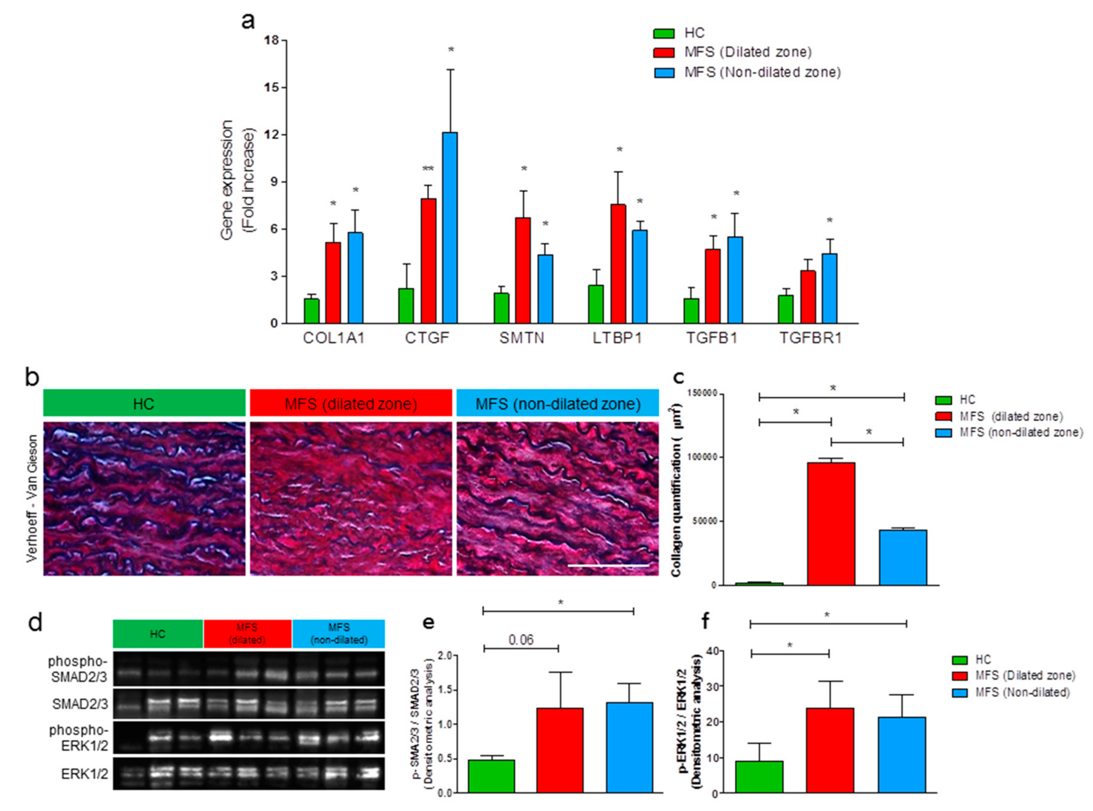 Cells 09 00154 g001 Cells 09 00154 g001
