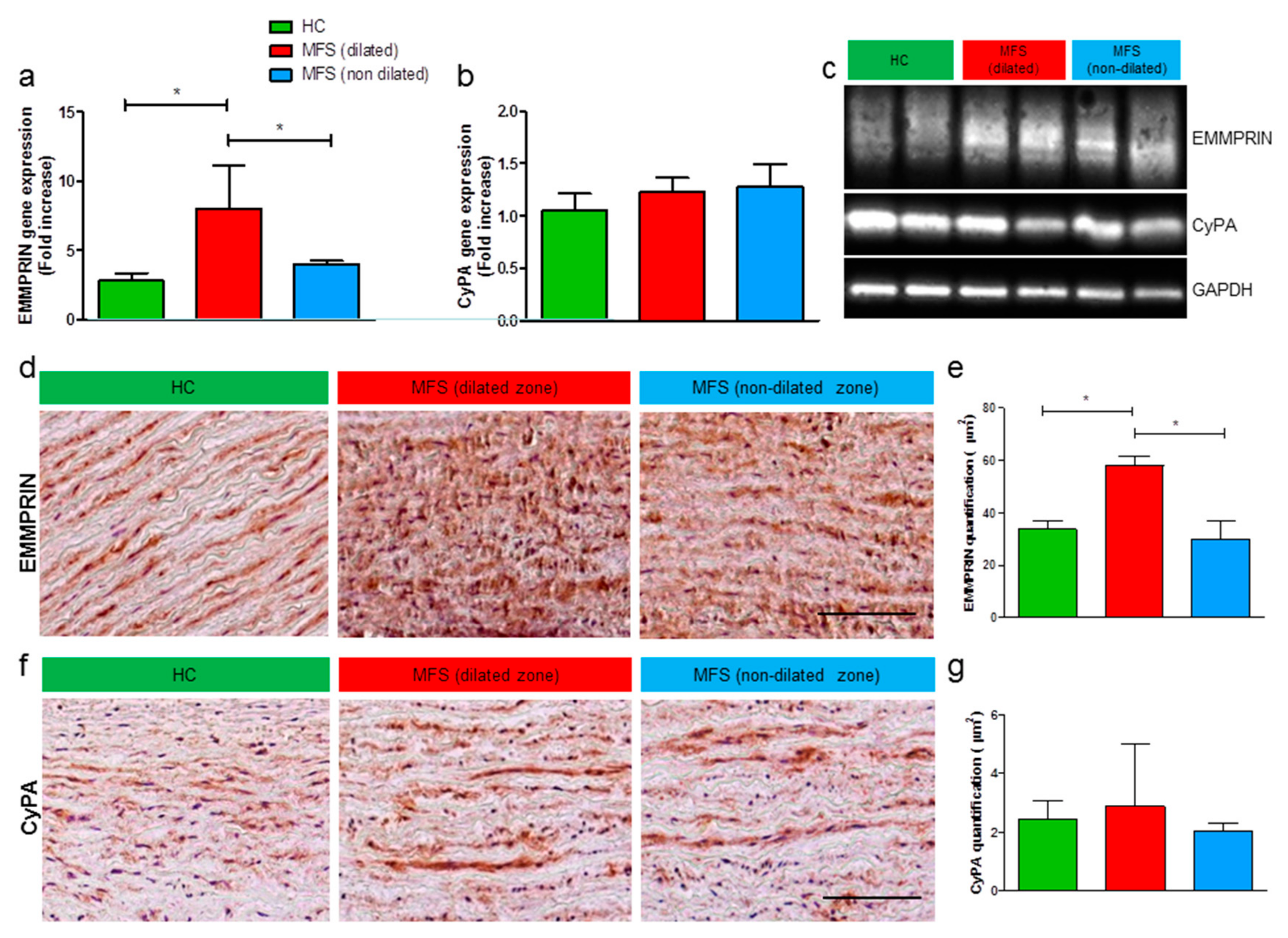 Cells 09 00154 g002 Cells 09 00154 g002