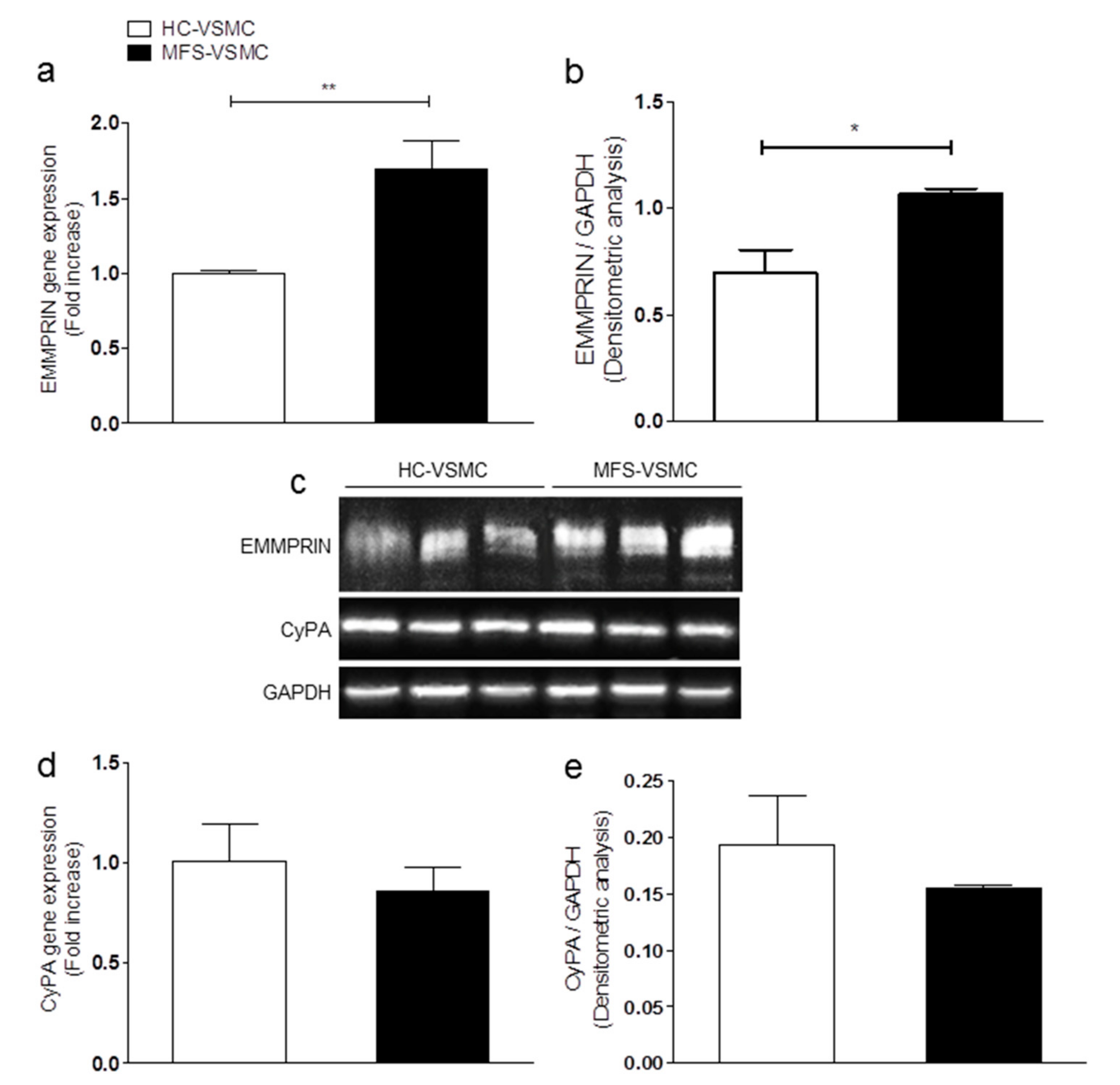 Cells 09 00154 g003 Cells 09 00154 g003