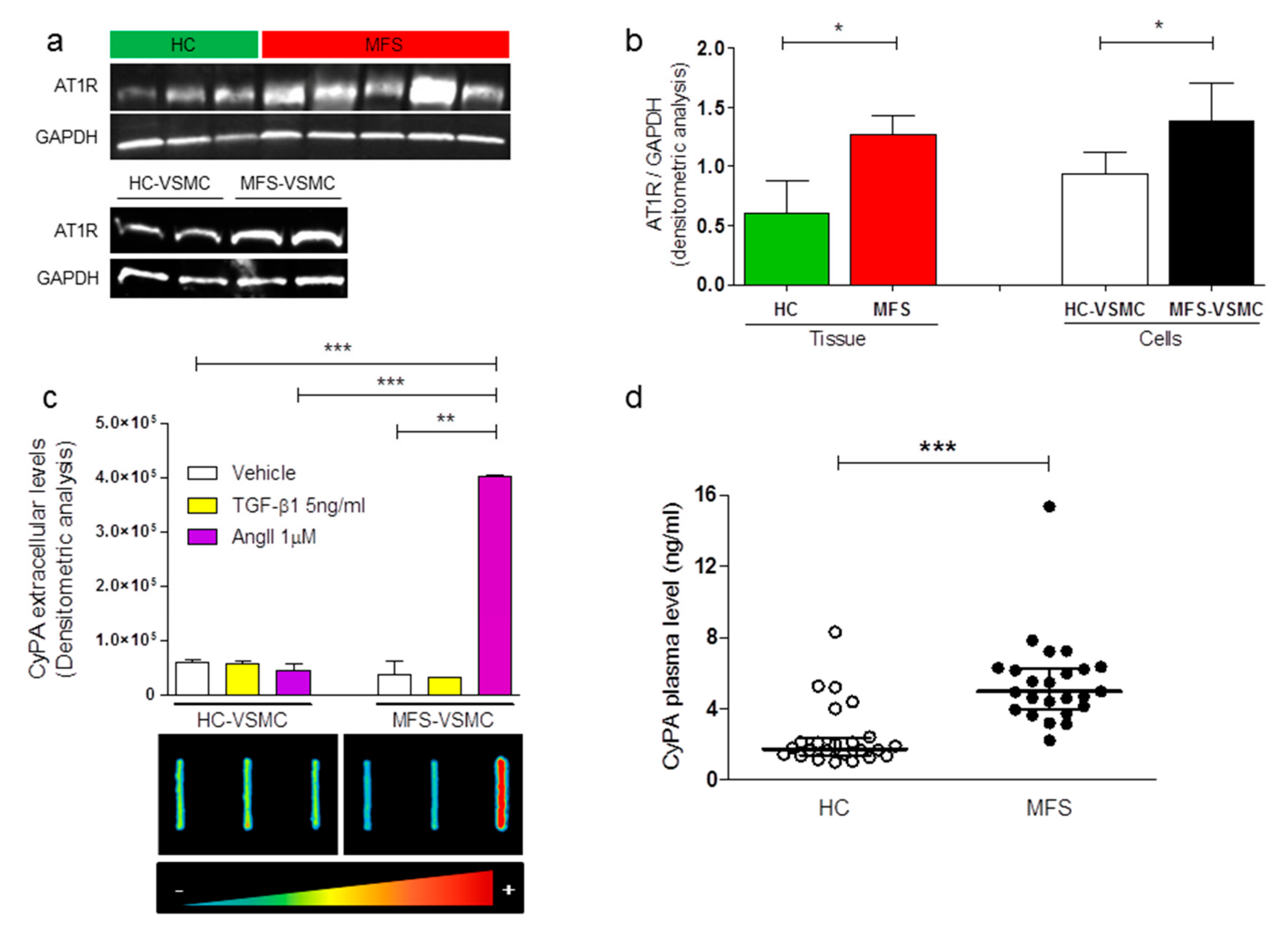 Cells 09 00154 g004 Cells 09 00154 g004