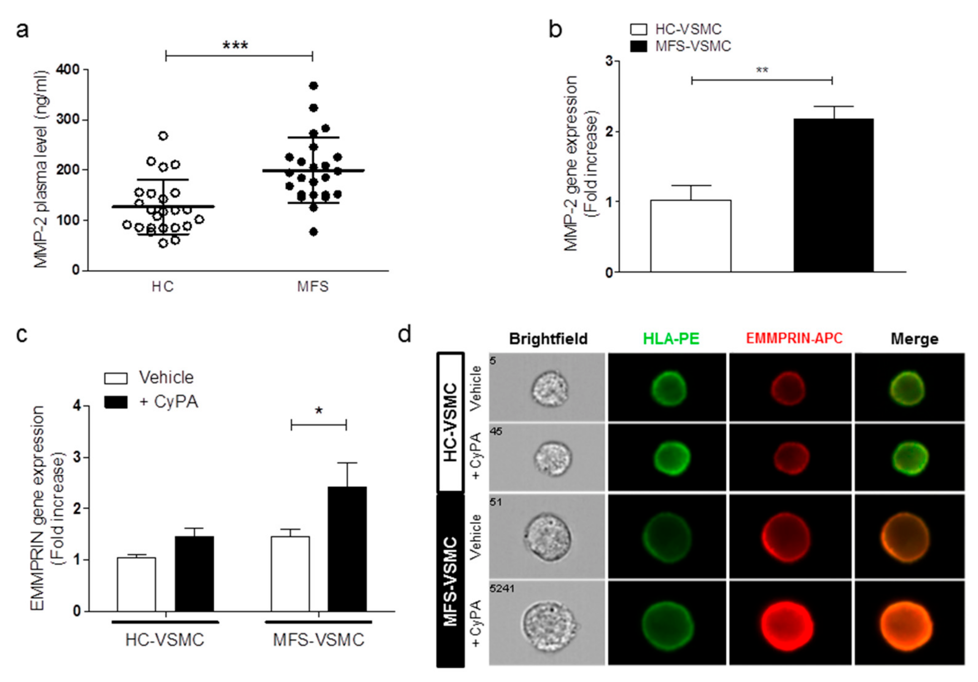 Cells 09 00154 g005 Cells 09 00154 g005