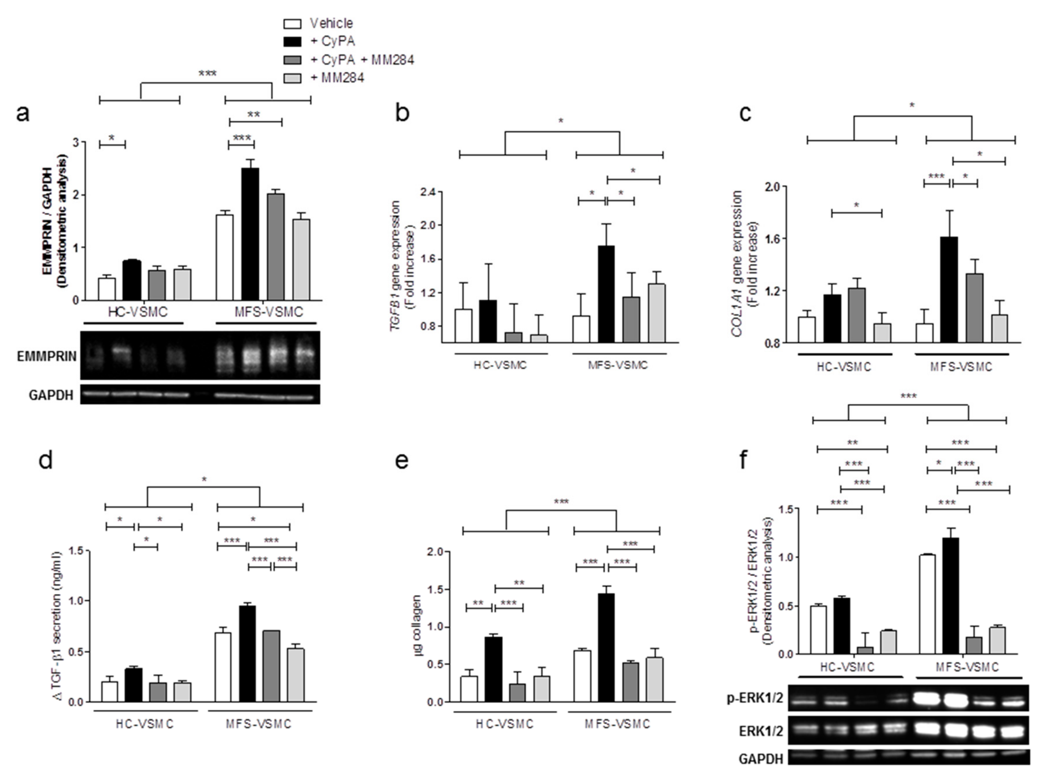 Cells 09 00154 g006 Cells 09 00154 g006