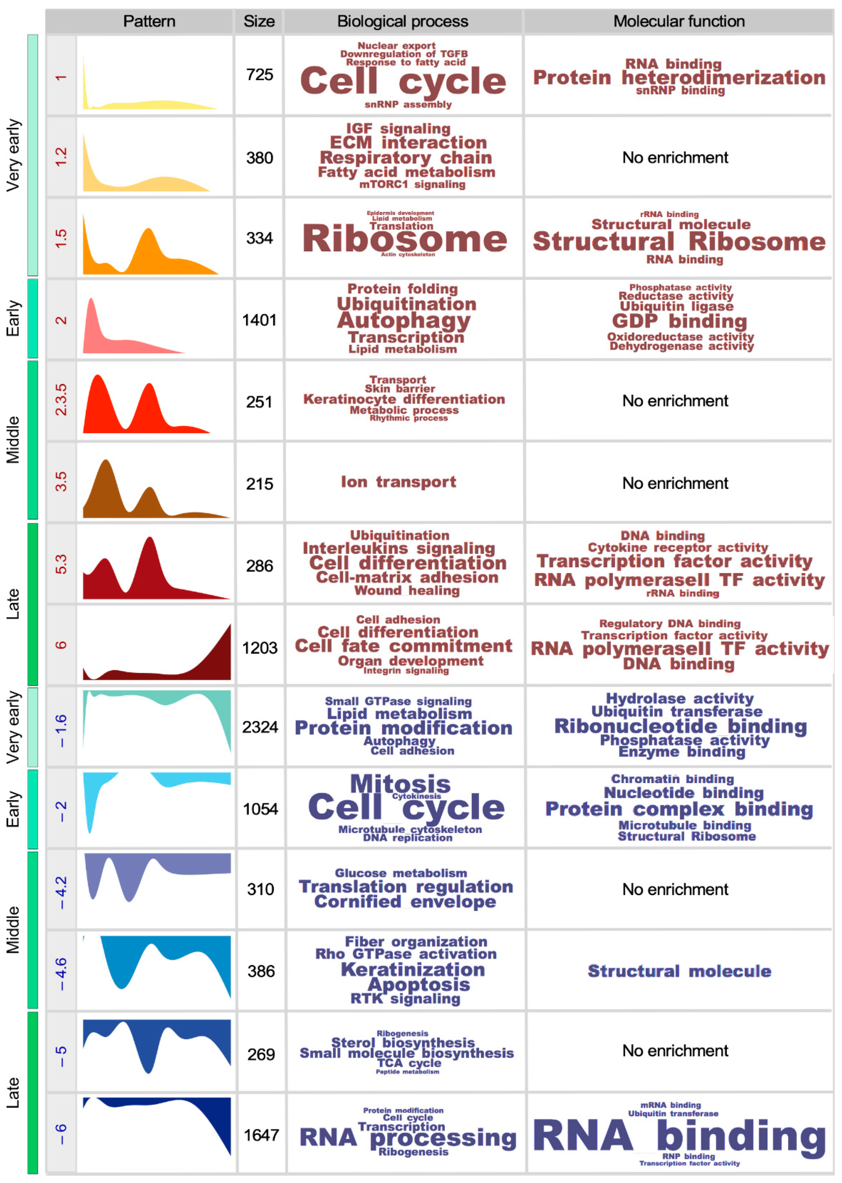 Cells 09 00165 g002 Cells 09 00165 g002