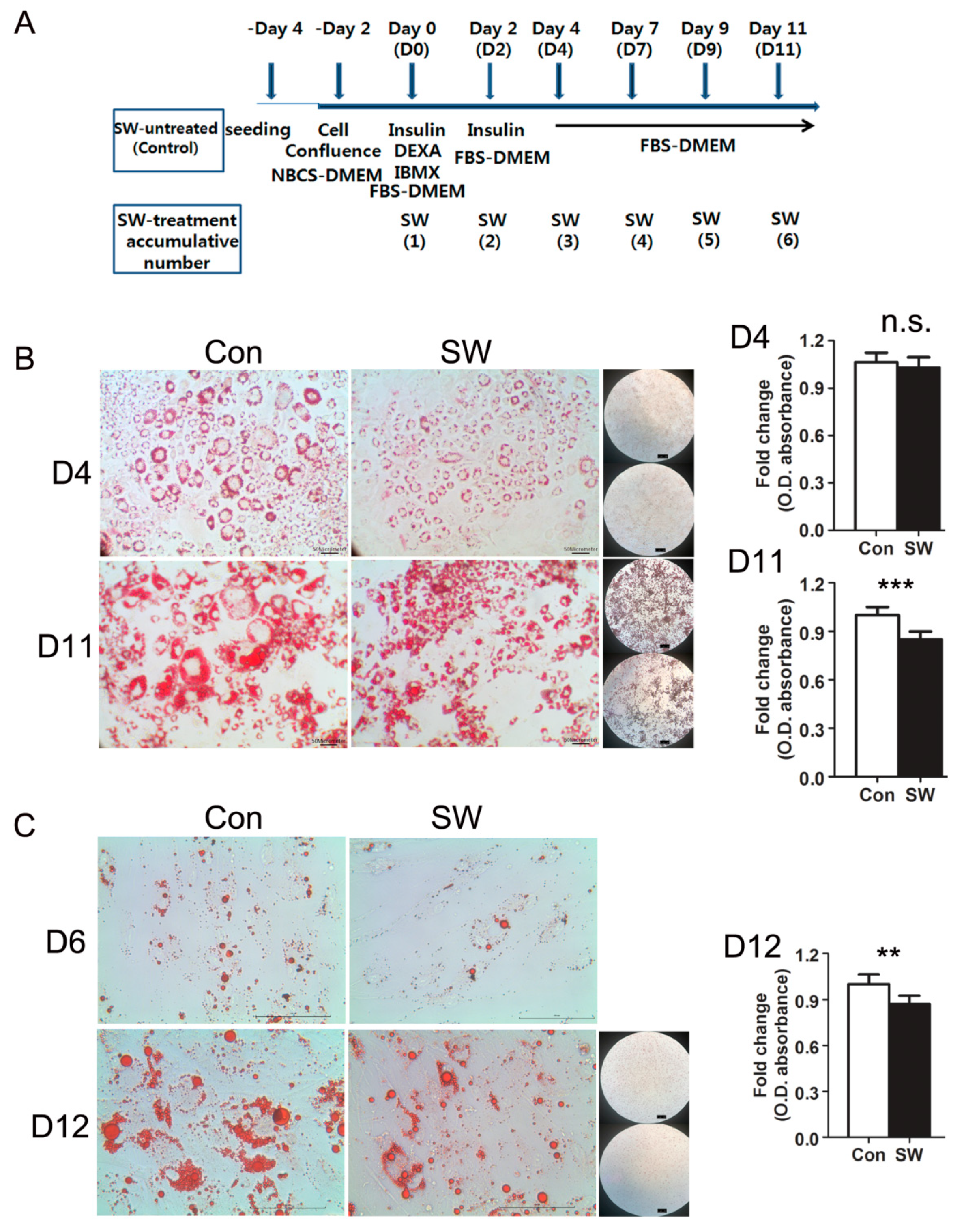Cells 09 00166 g001 Cells 09 00166 g001