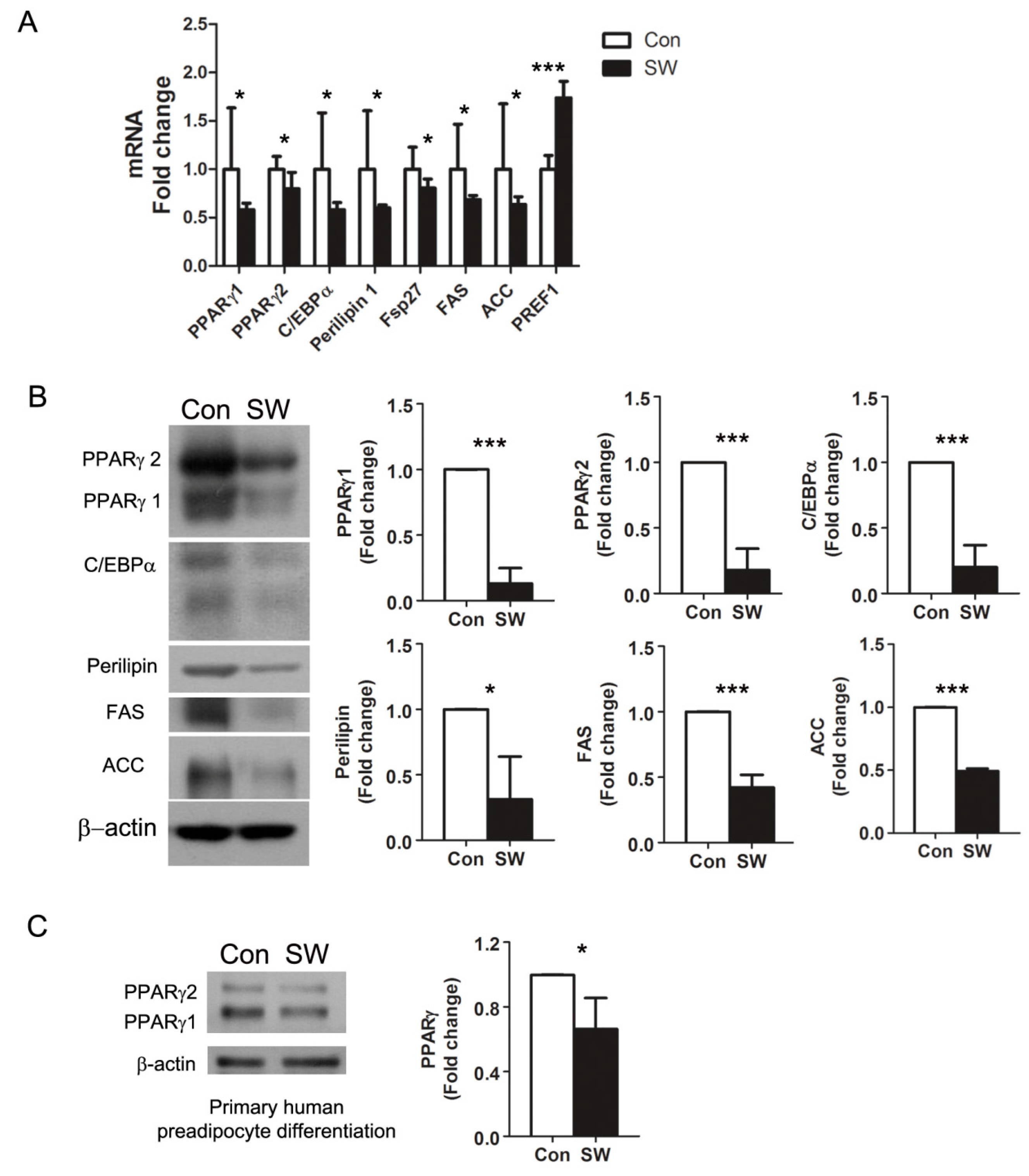 Cells 09 00166 g002 Cells 09 00166 g002