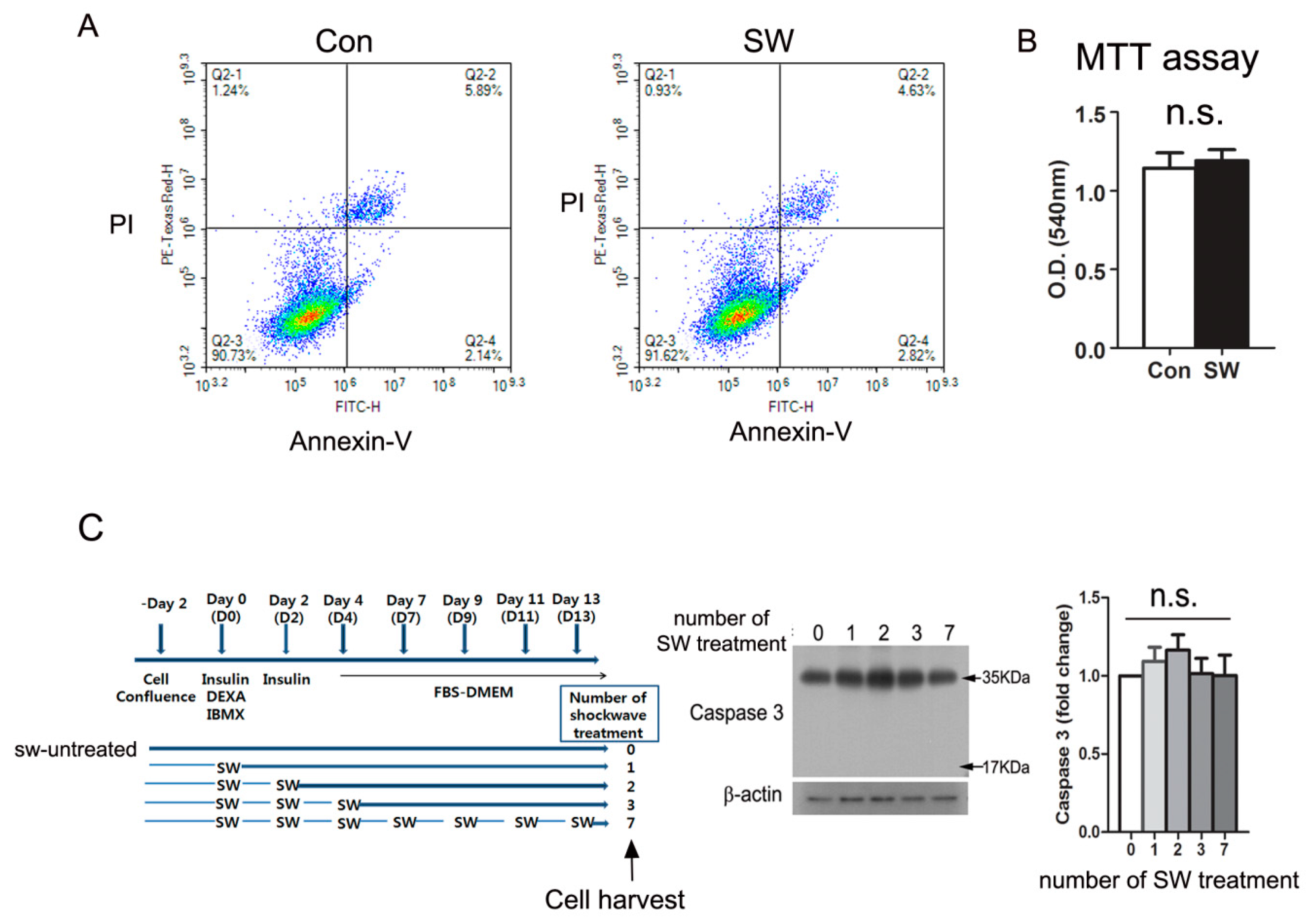 Cells 09 00166 g004 Cells 09 00166 g004