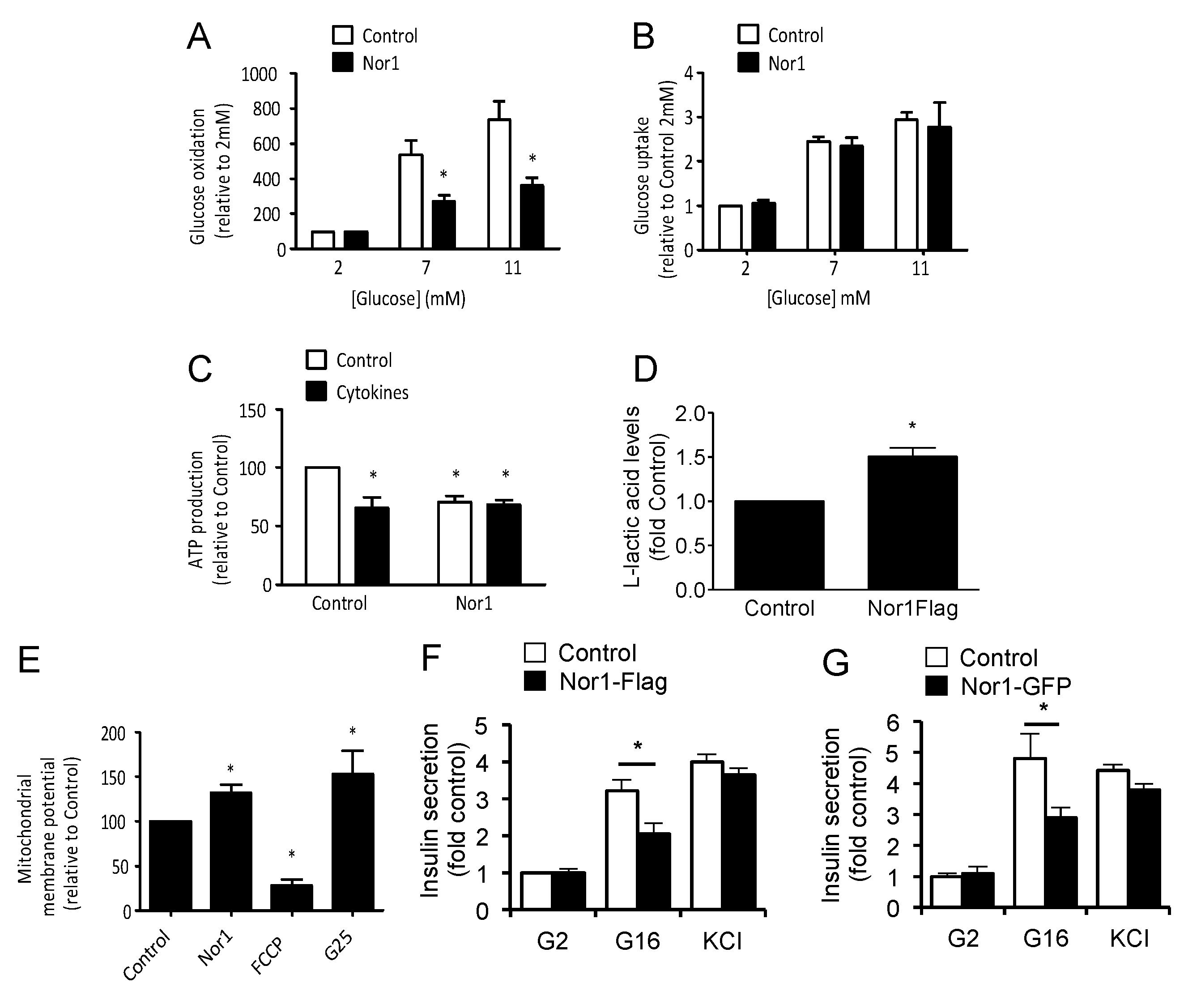 Cells 09 00168 g002 Cells 09 00168 g002