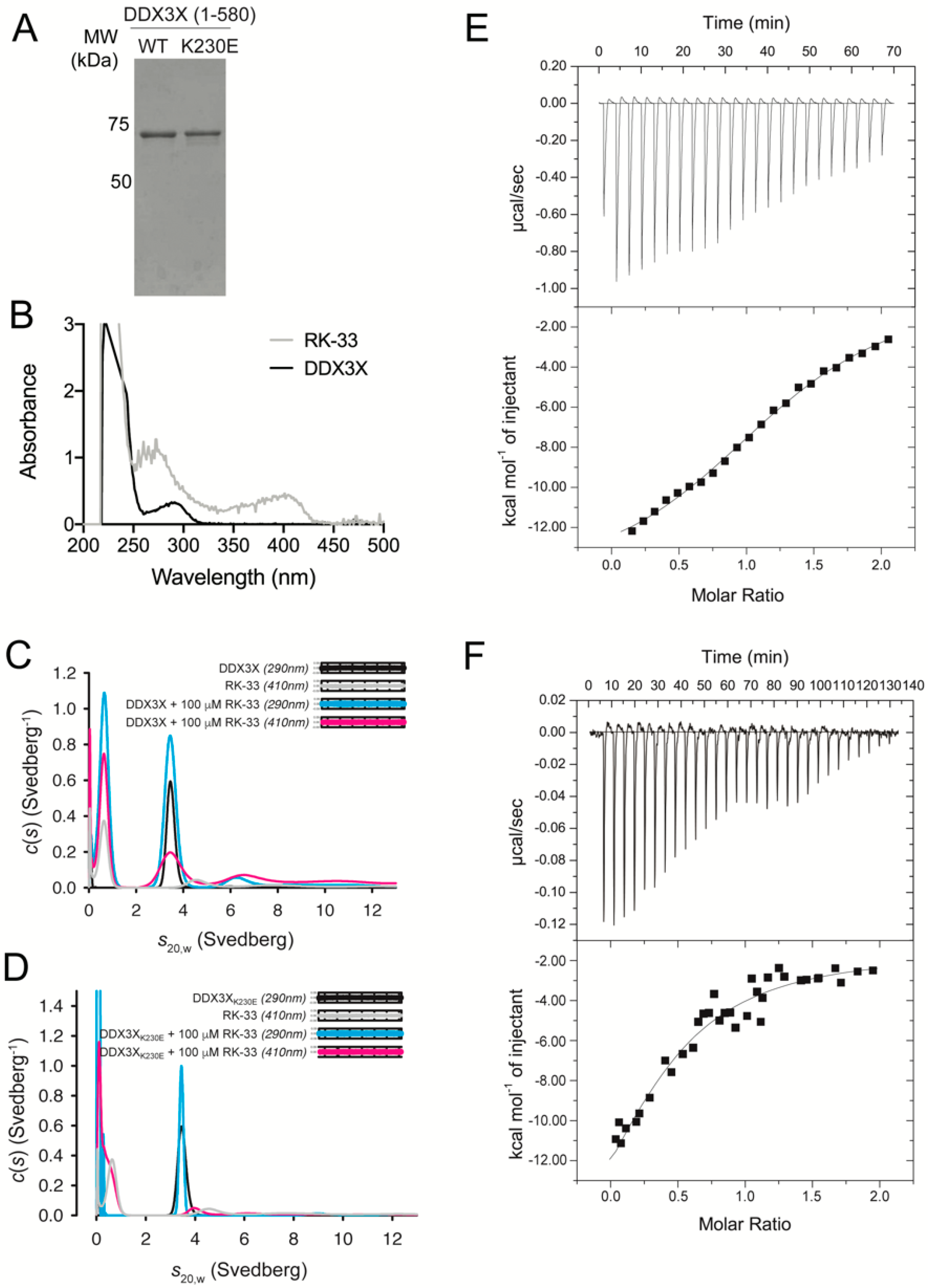 Cells 09 00170 g001 Cells 09 00170 g001