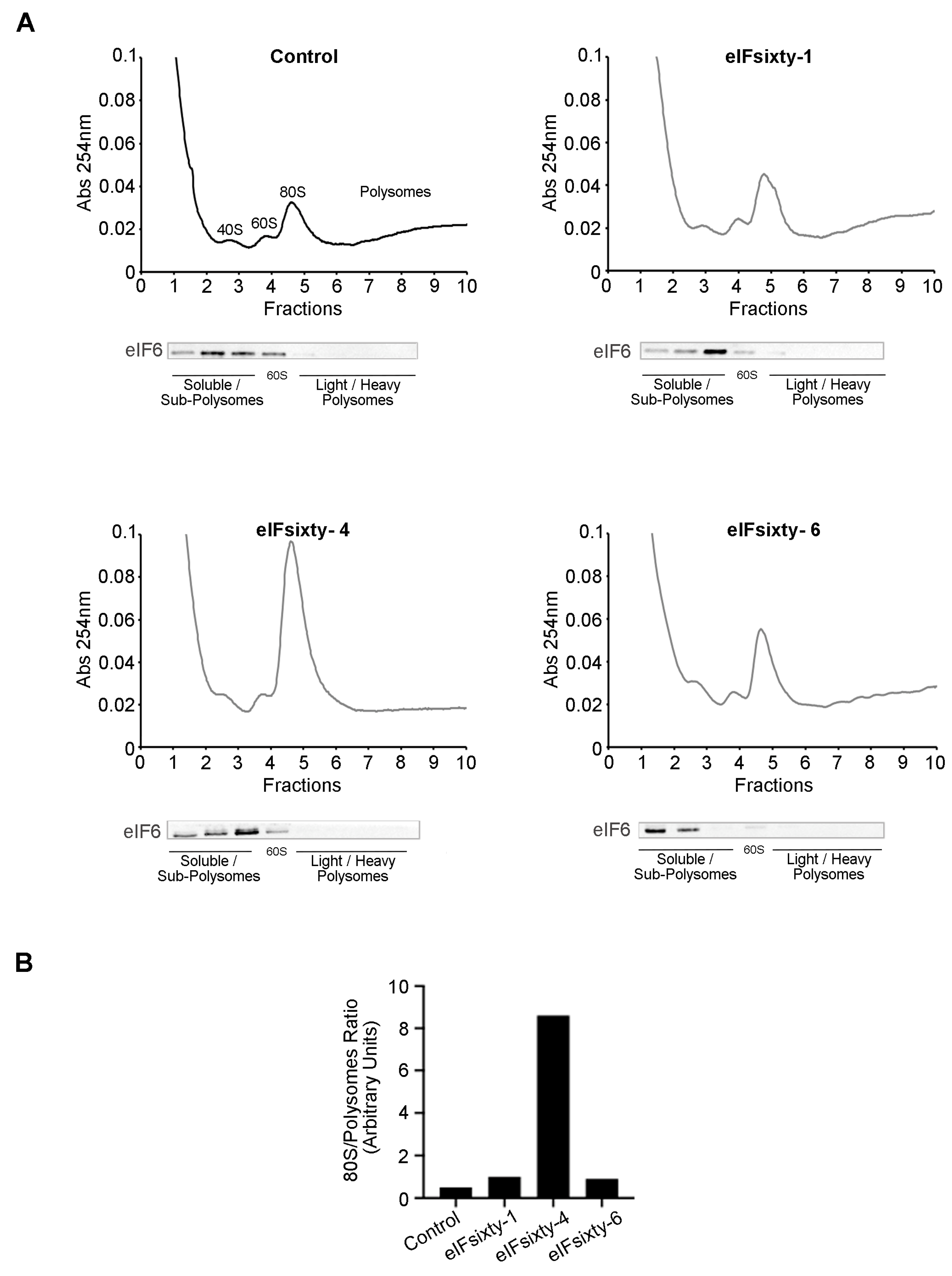 Cells 09 00172 g006 Cells 09 00172 g006