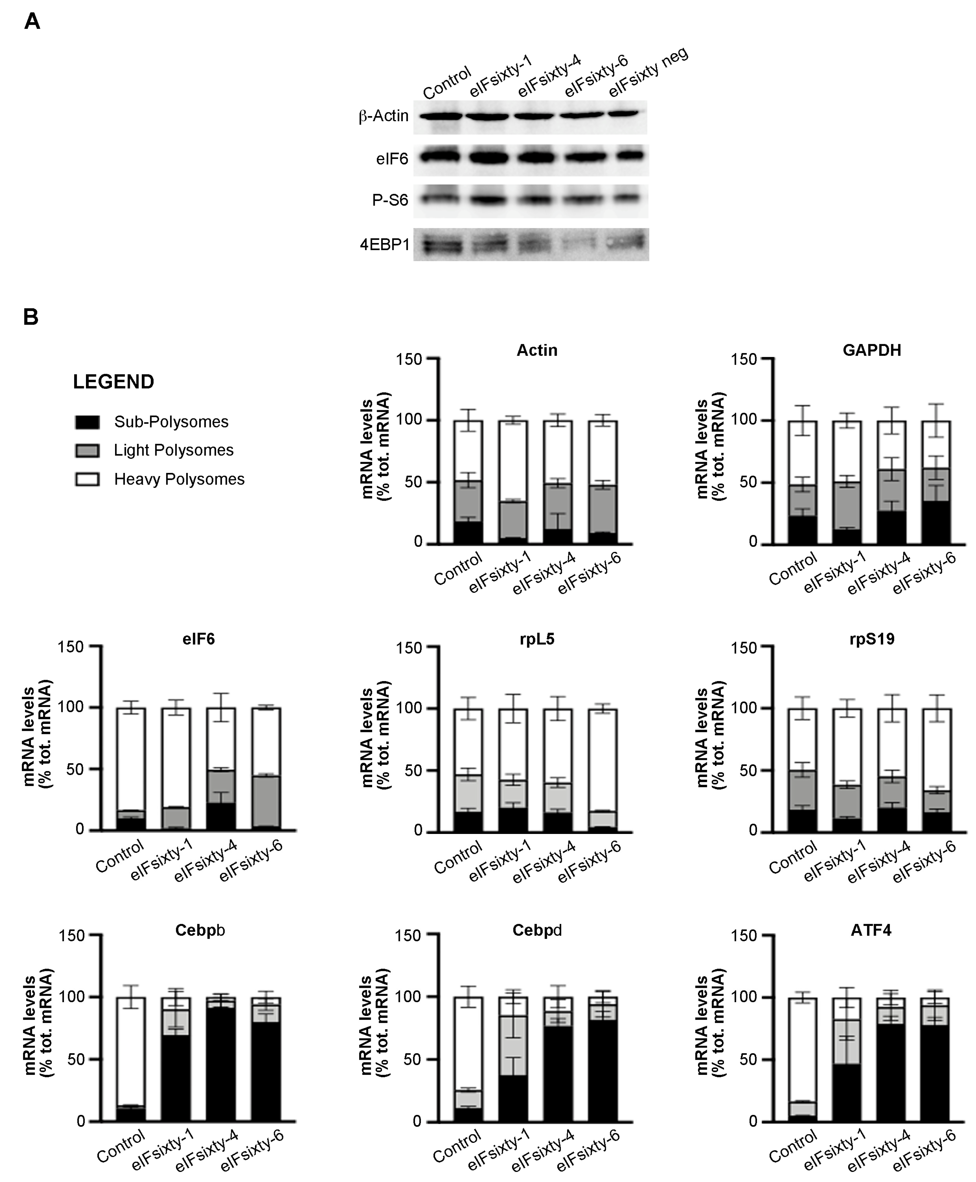 Cells 09 00172 g007 Cells 09 00172 g007