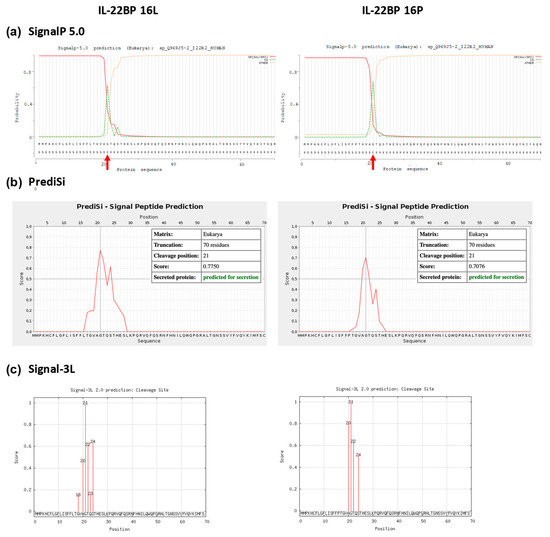 Cells 09 00175 g0a4a Cells 09 00175 g0a4a