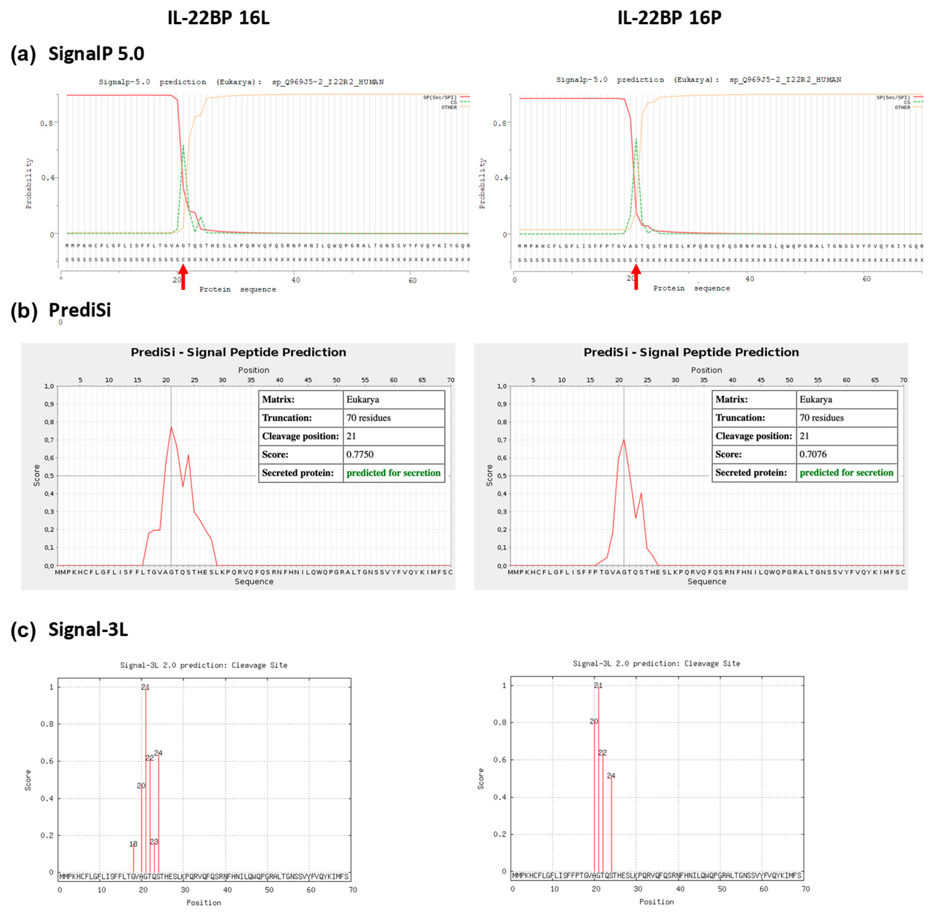 Cells 09 00175 g0a4a
