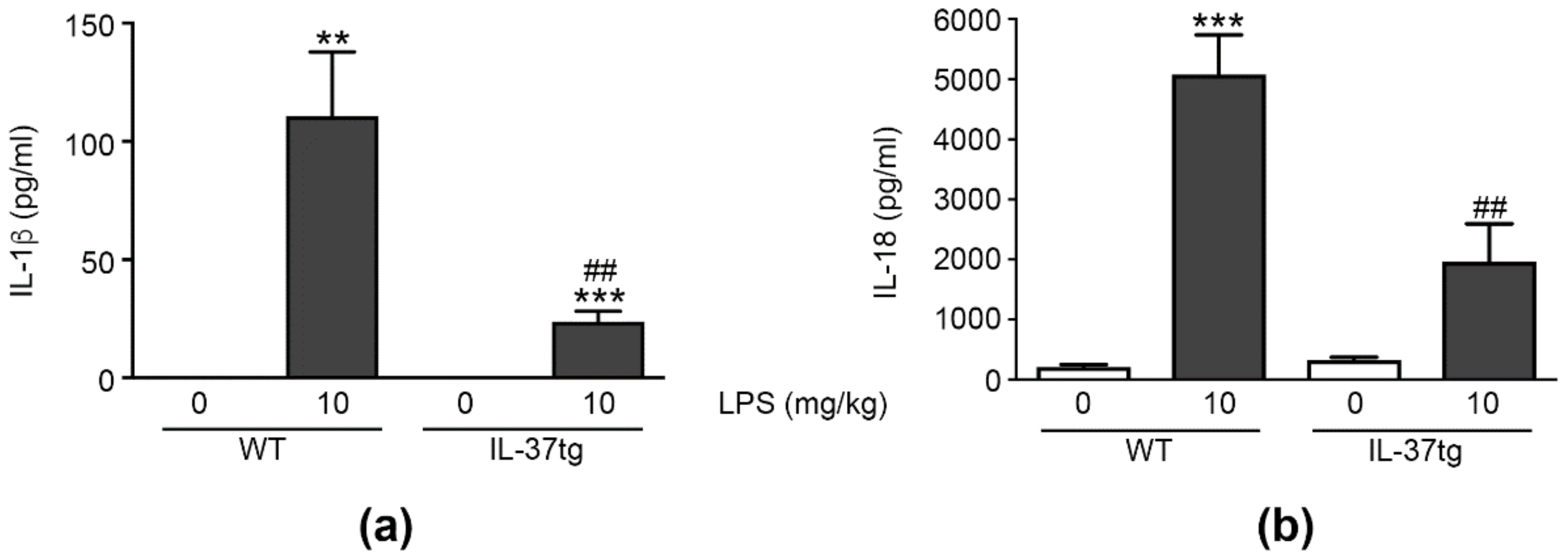 Cells 09 00178 g006 Cells 09 00178 g006