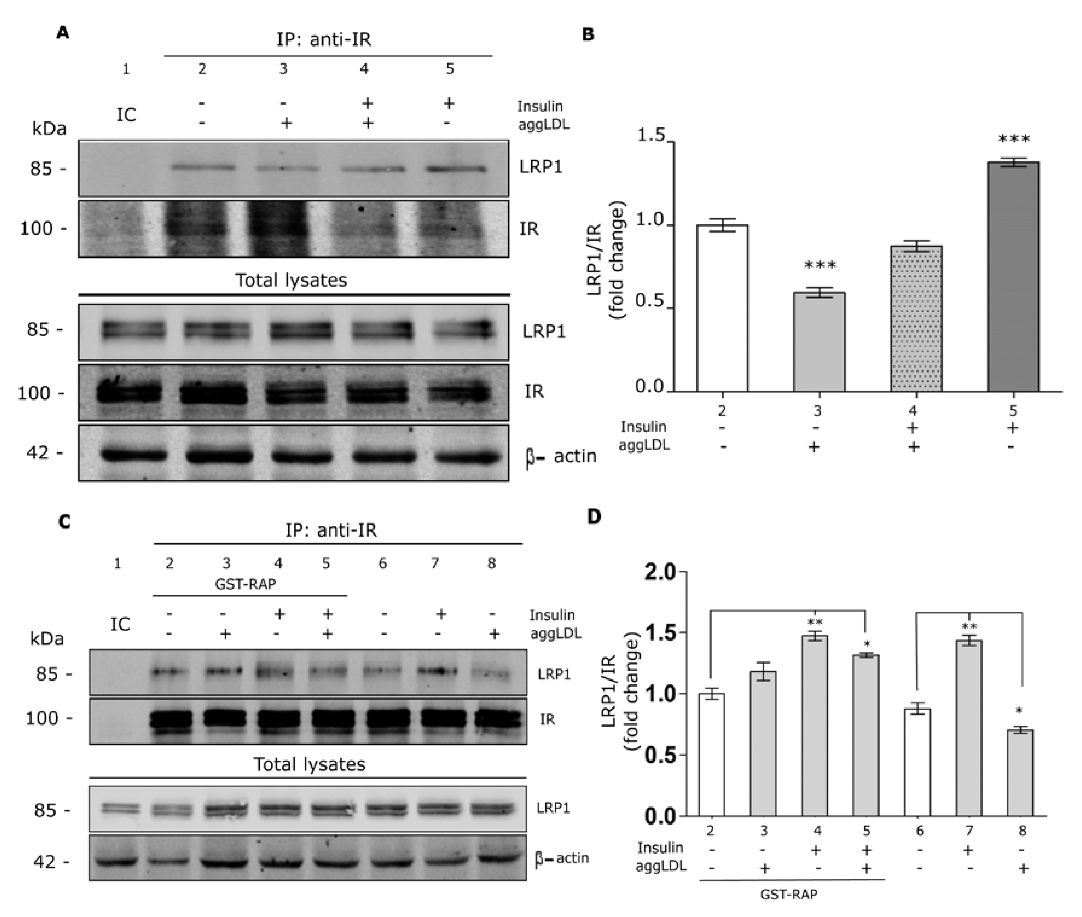 Cells 09 00182 g003