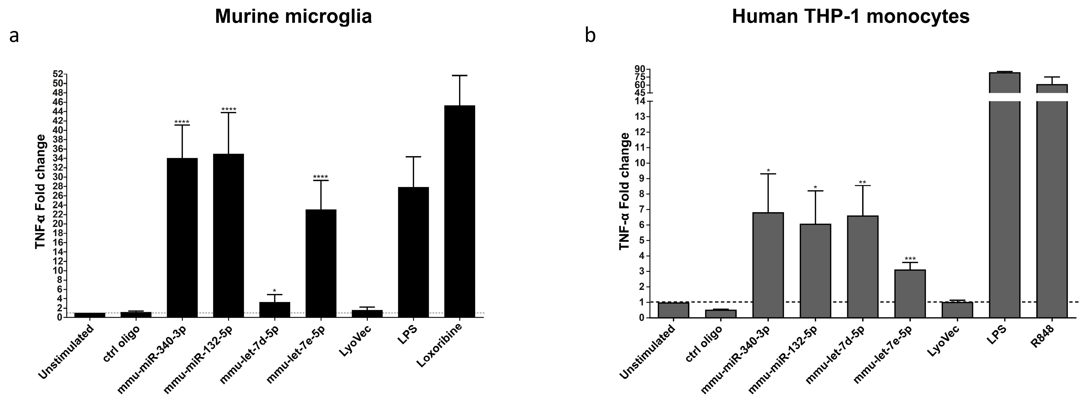 Cells 09 00186 g003 Cells 09 00186 g003
