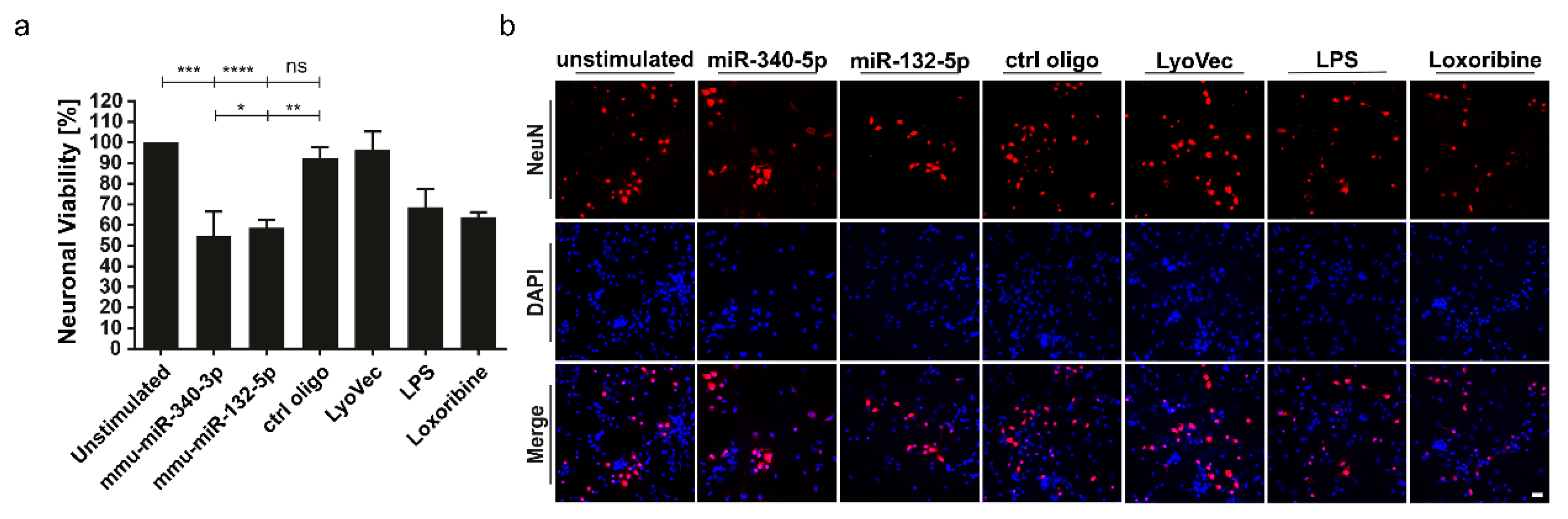 Cells 09 00186 g004 Cells 09 00186 g004