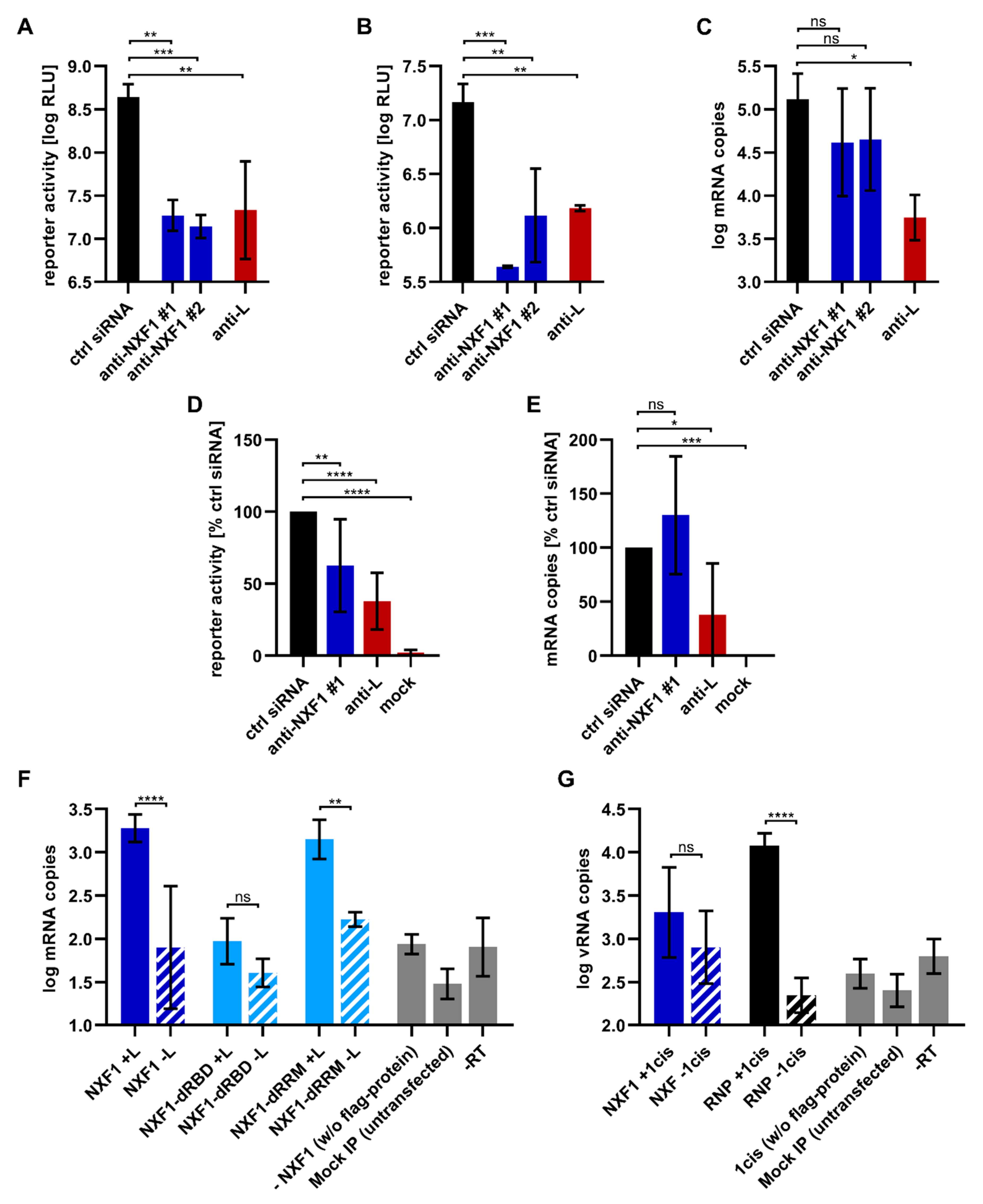 Cells 09 00187 g007 Cells 09 00187 g007