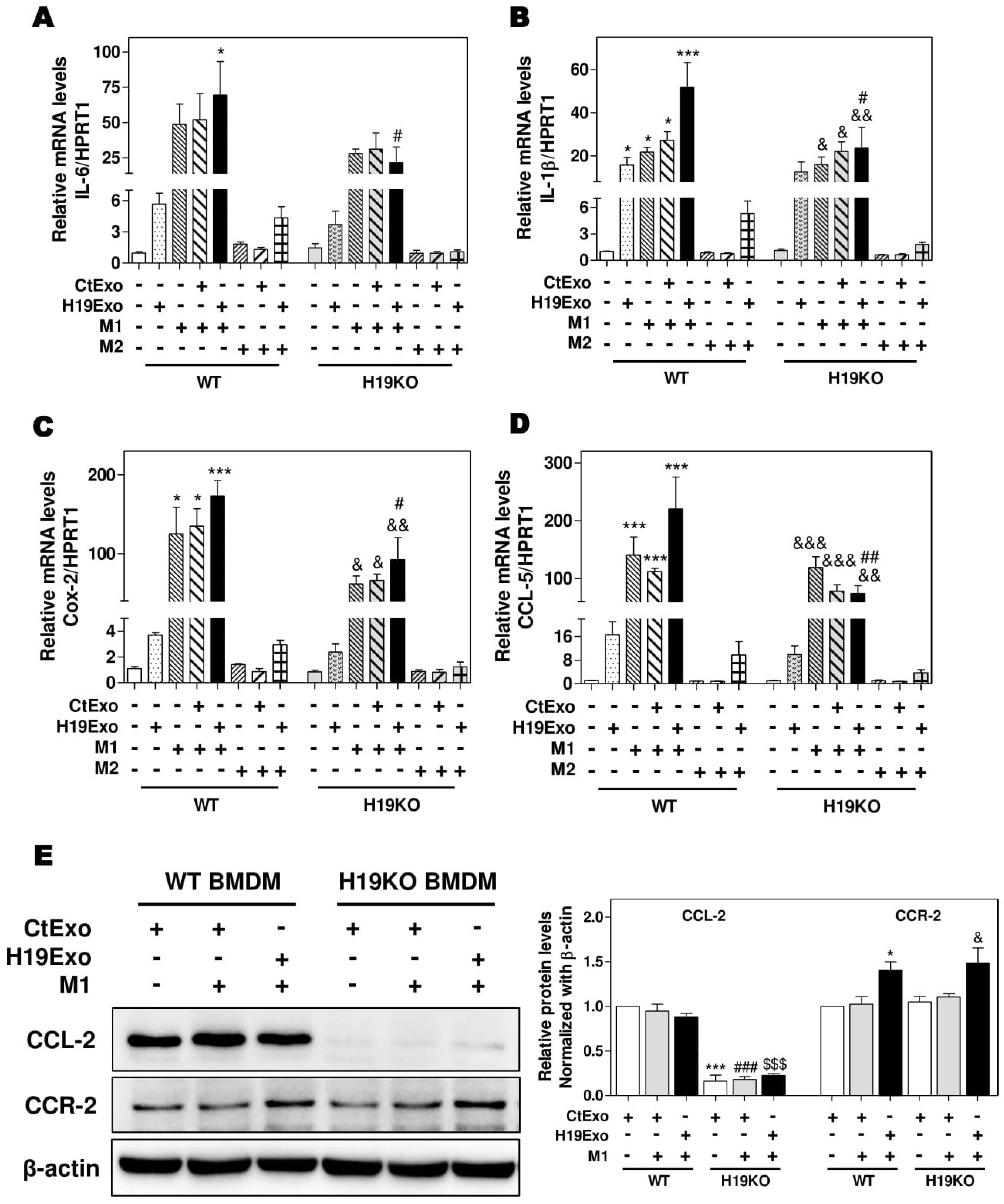Cells 09 00190 g002 Cells 09 00190 g002
