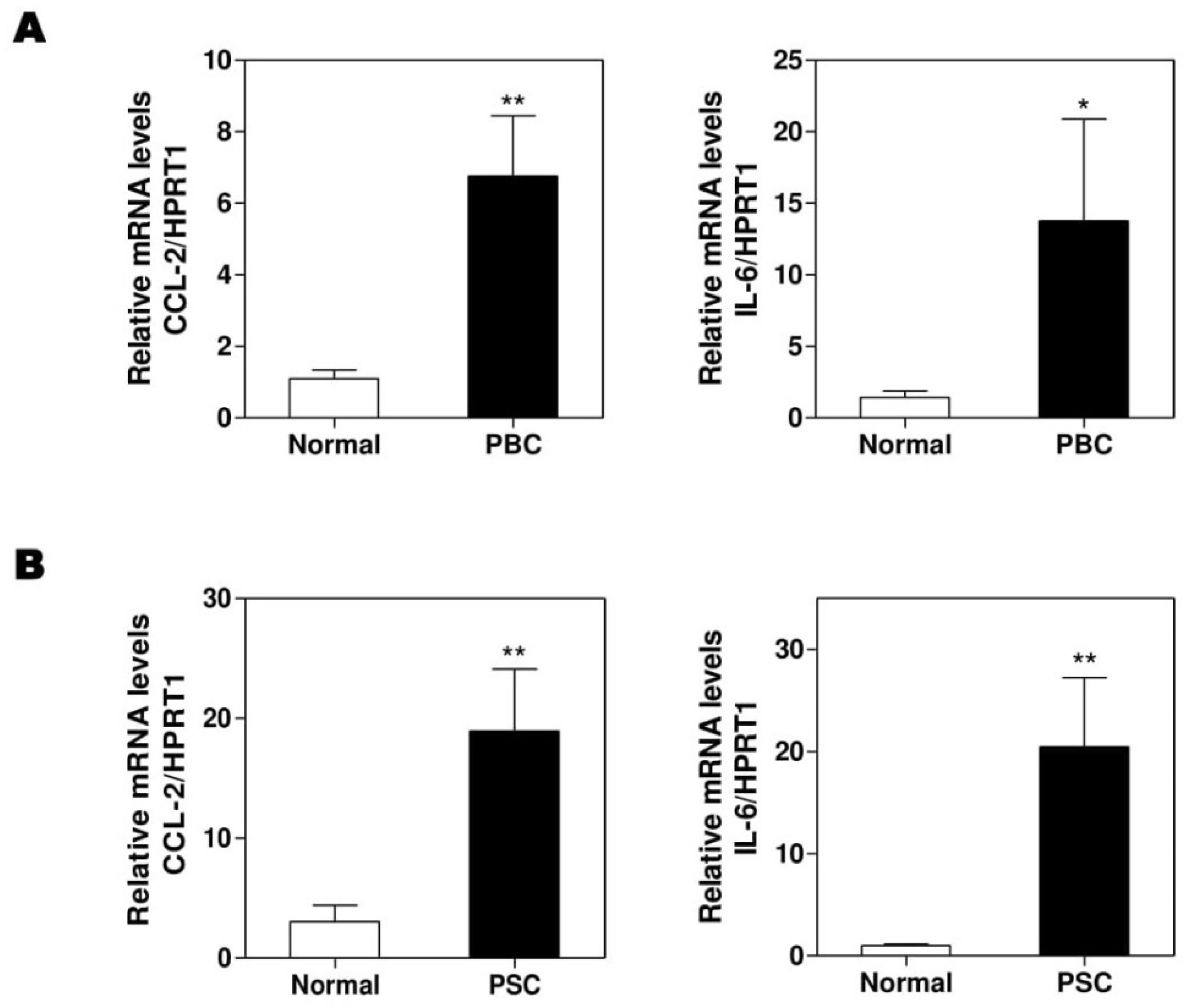 Cells 09 00190 g007 Cells 09 00190 g007
