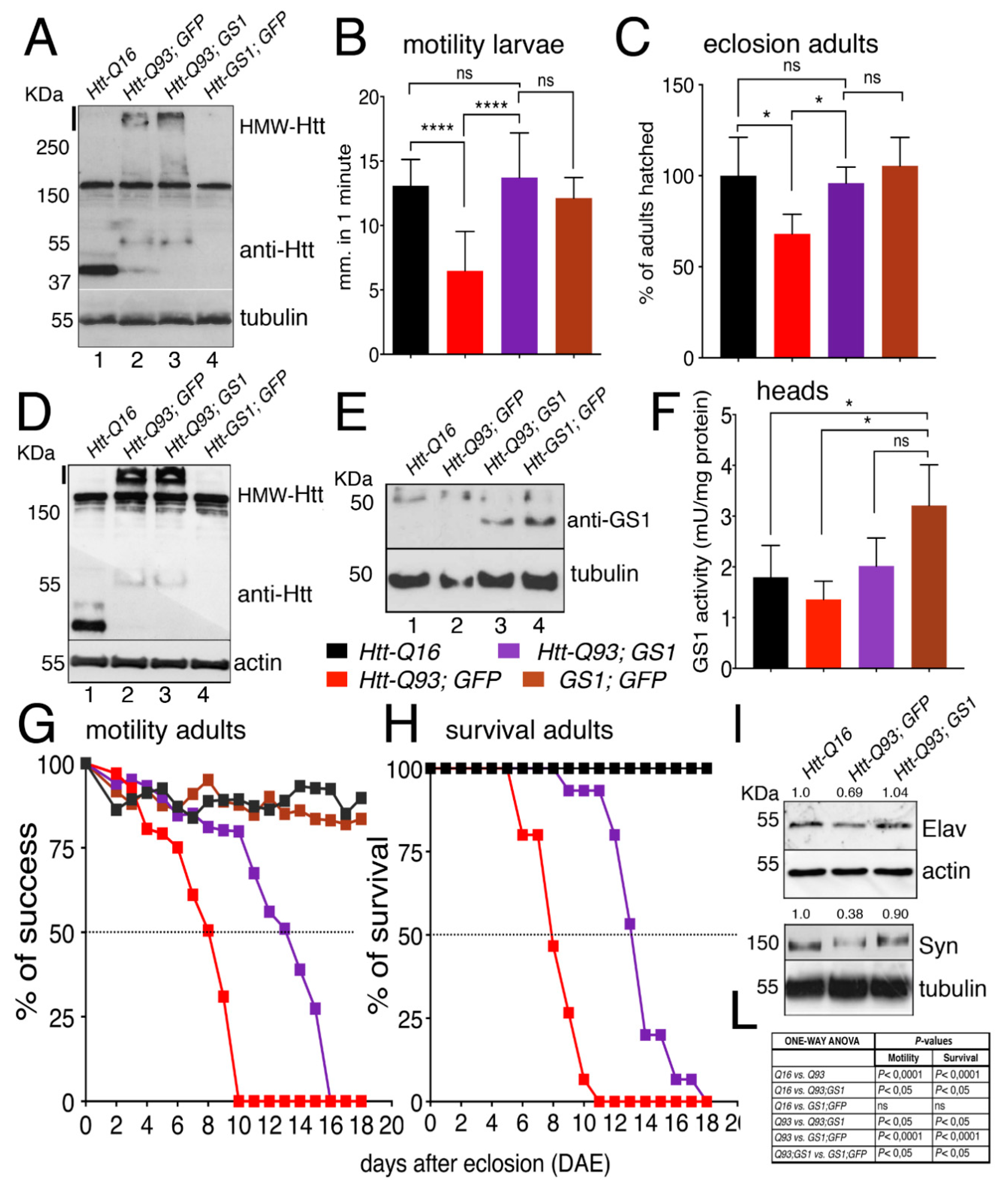 Cells 09 00196 g002 Cells 09 00196 g002