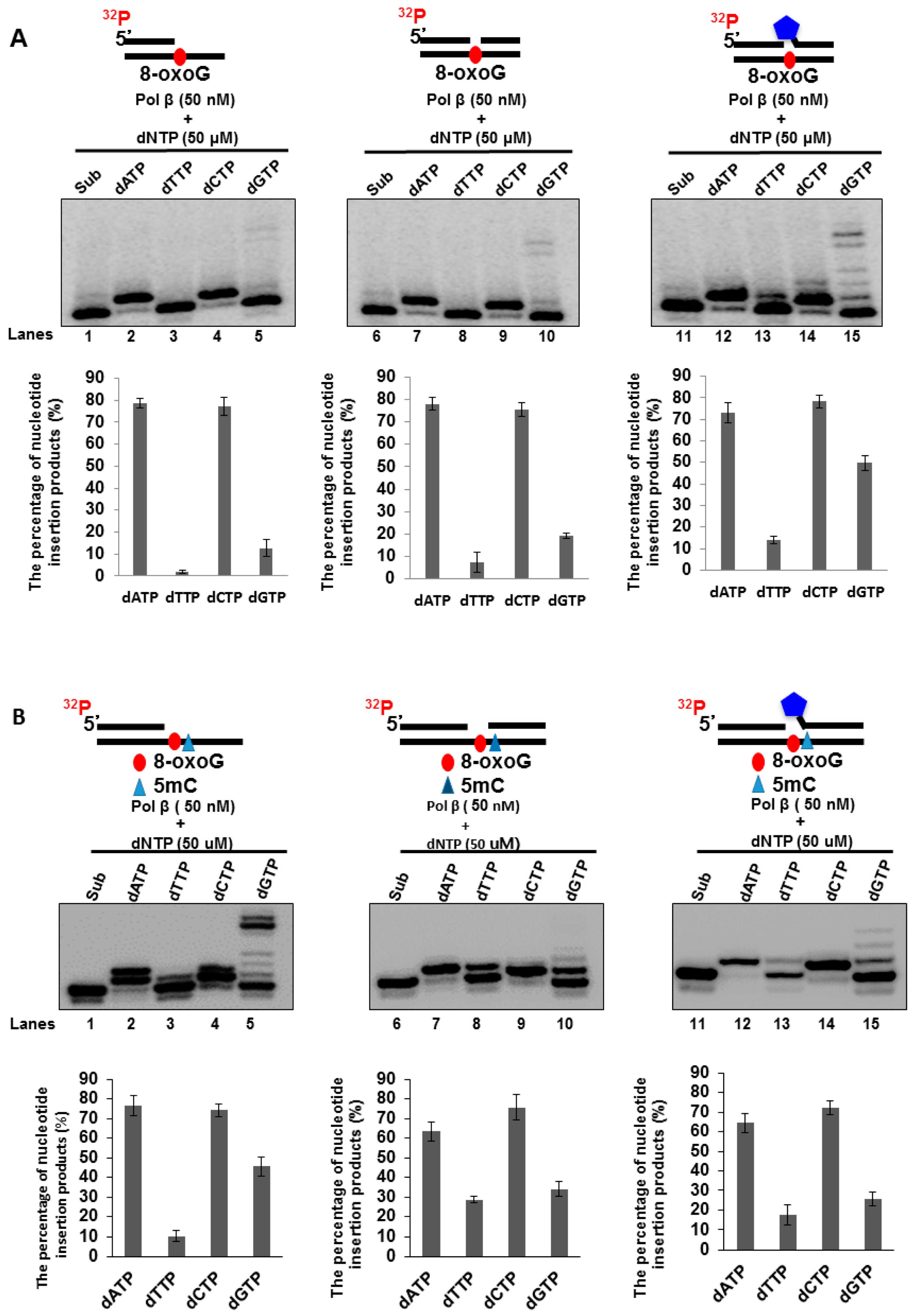 Cells 09 00225 g006 Cells 09 00225 g006