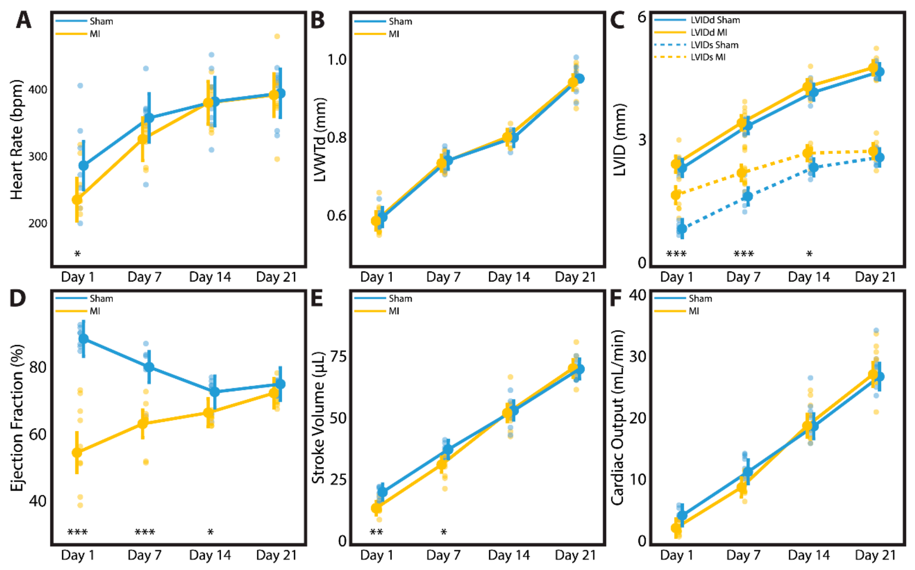 Cells 09 00229 g008 Cells 09 00229 g008