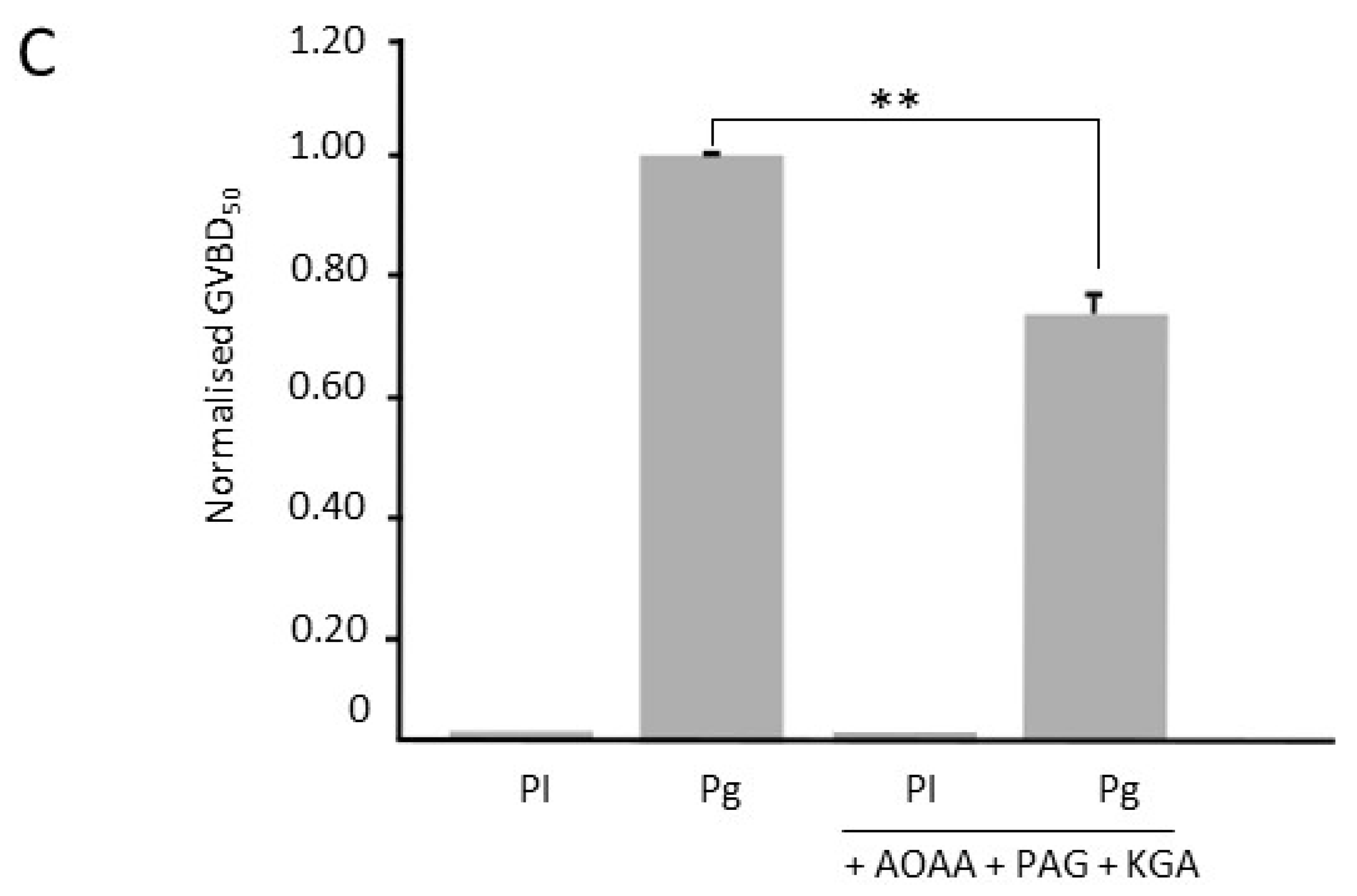 Cells 09 00237 g002b