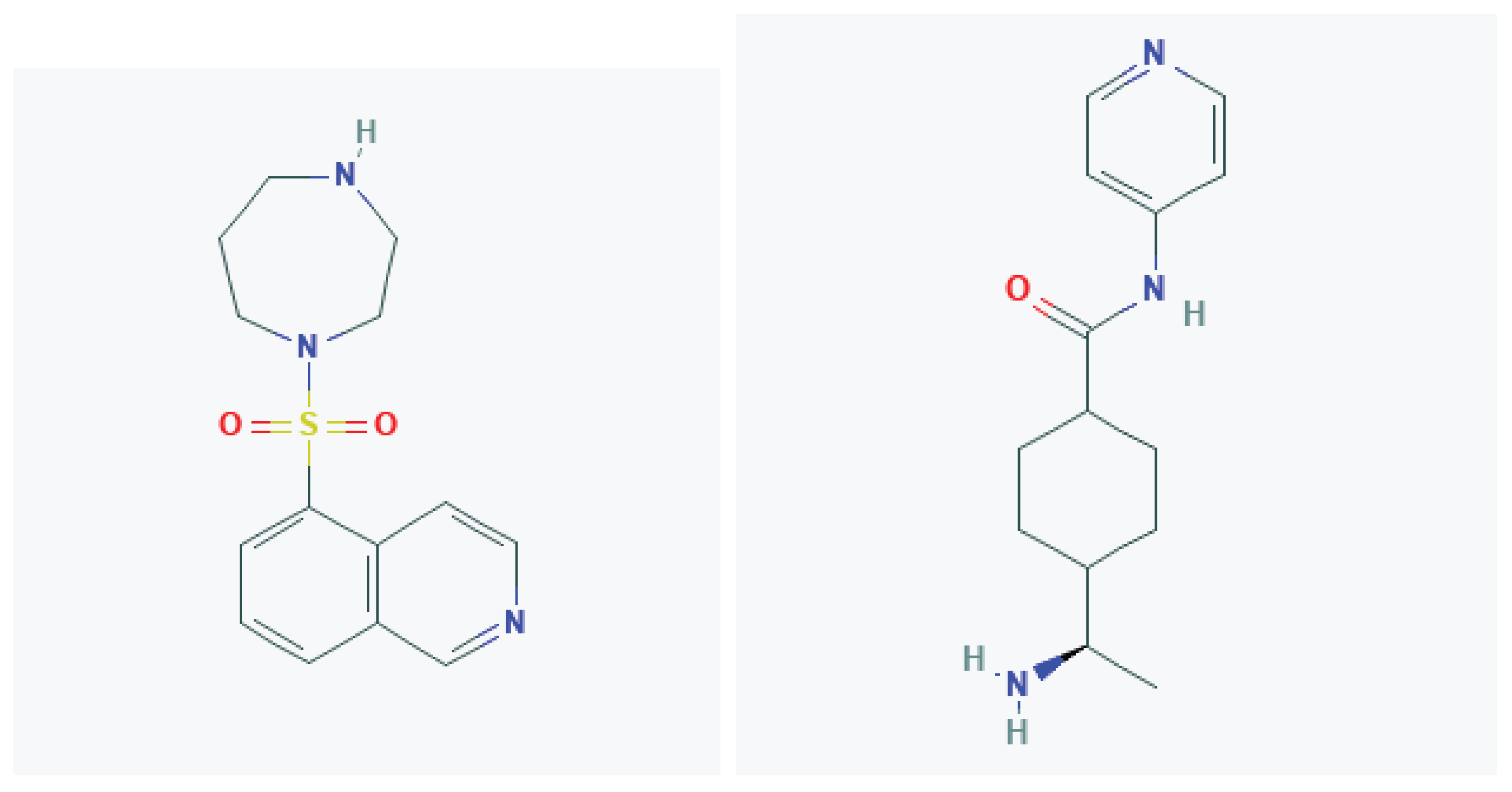 Cells 09 00245 g002 Cells 09 00245 g002