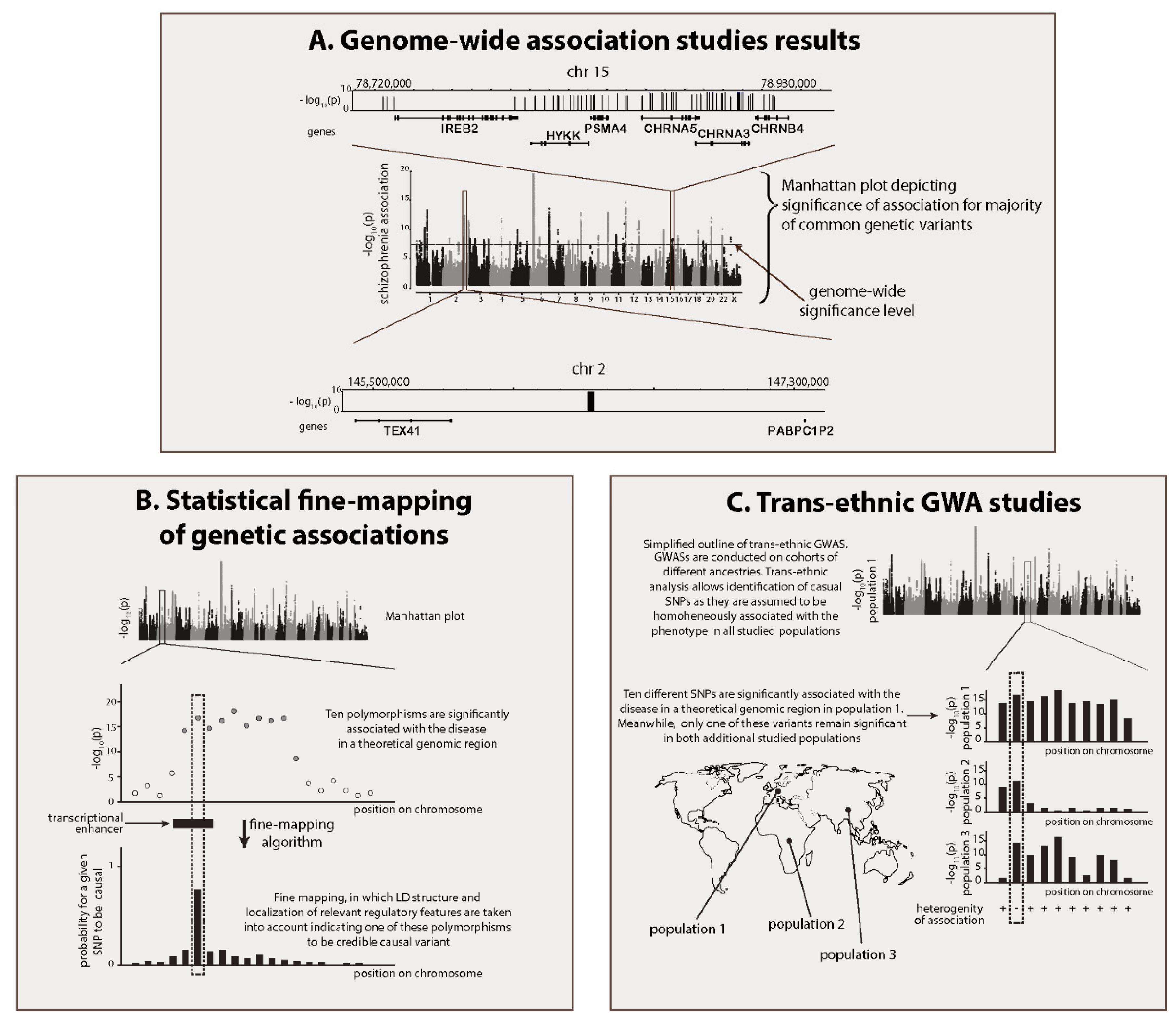 Cells 09 00246 g001a