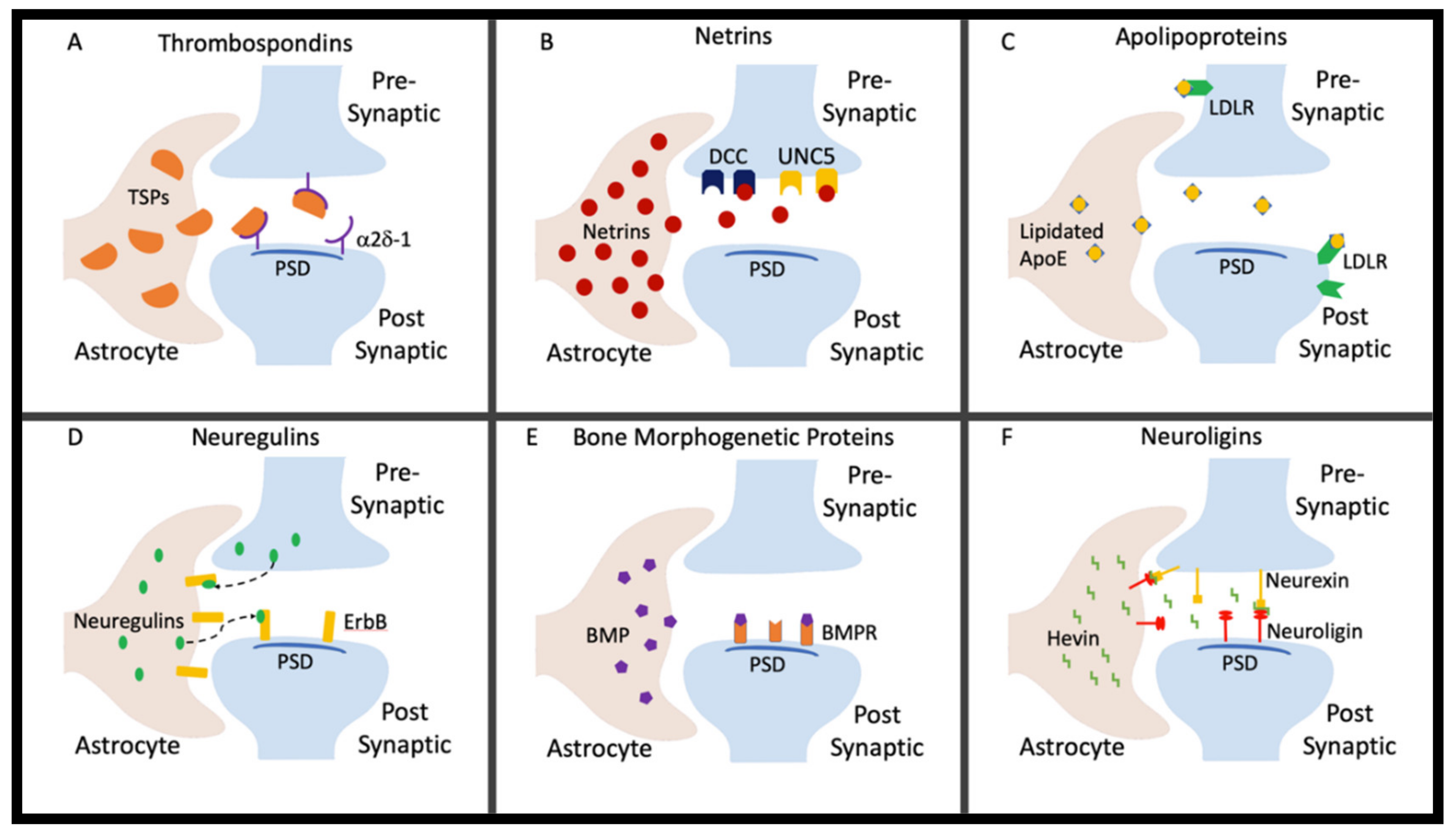 Cells 09 00297 g001 Cells 09 00297 g001