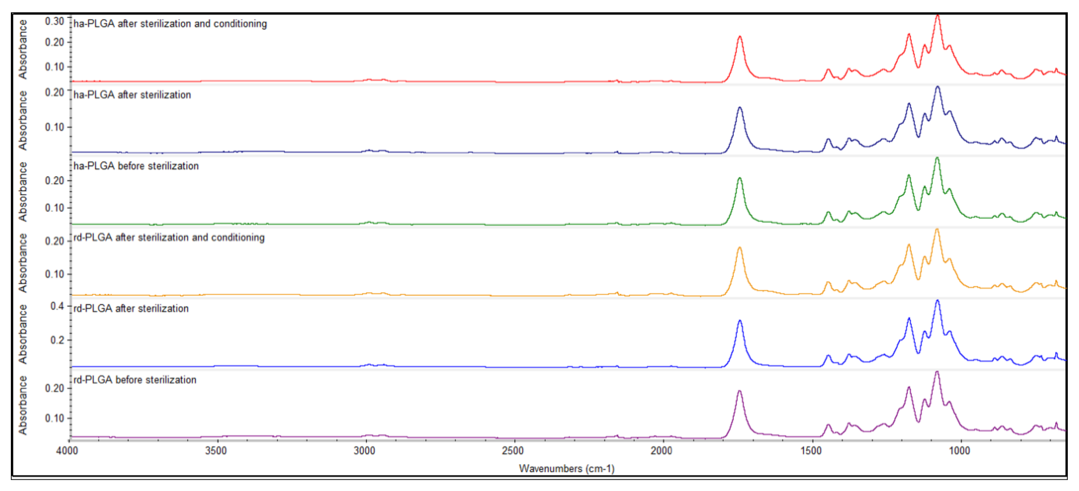 Cells 09 00303 g002 Cells 09 00303 g002