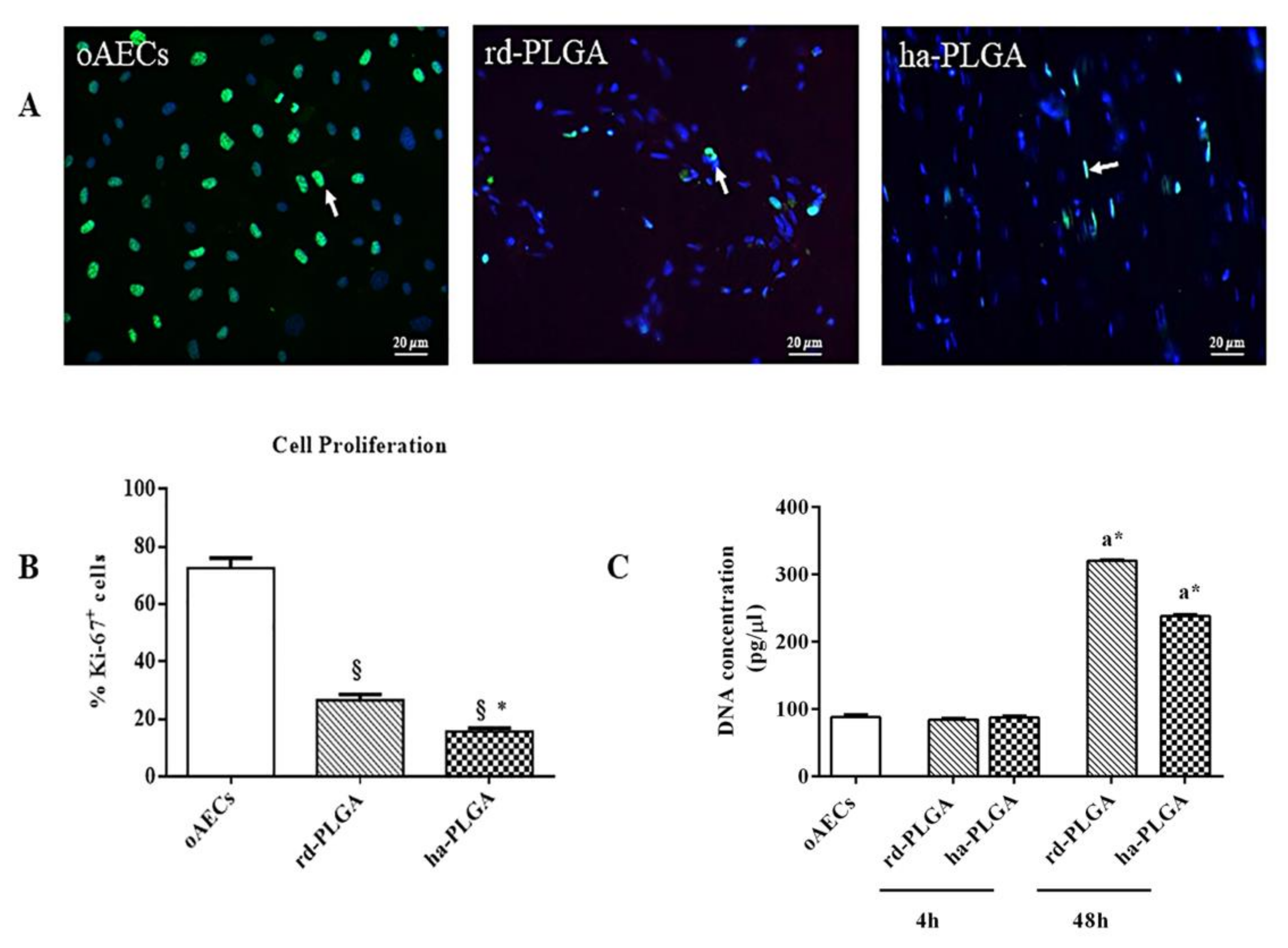 Cells 09 00303 g005 Cells 09 00303 g005