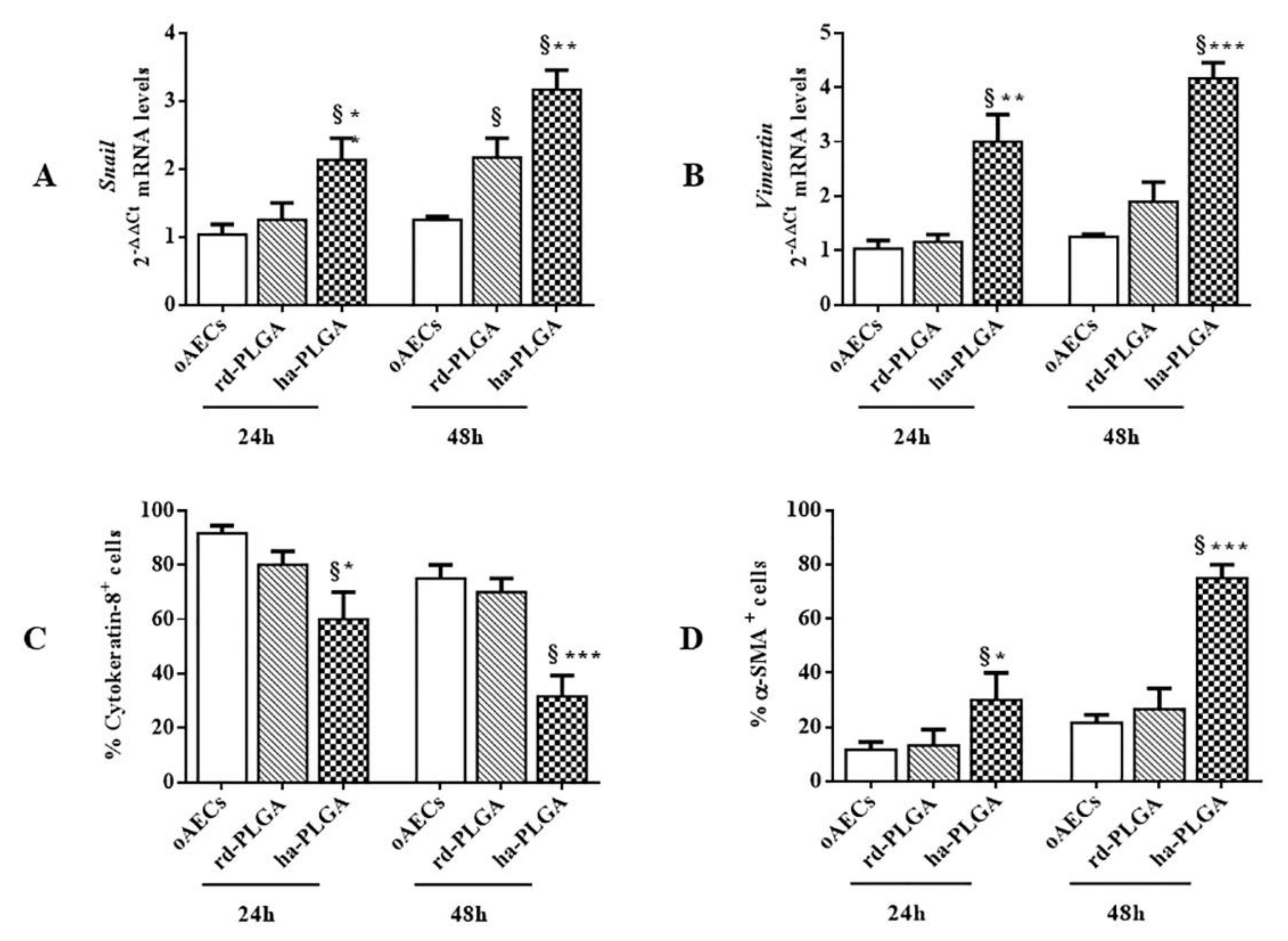 Cells 09 00303 g006 Cells 09 00303 g006