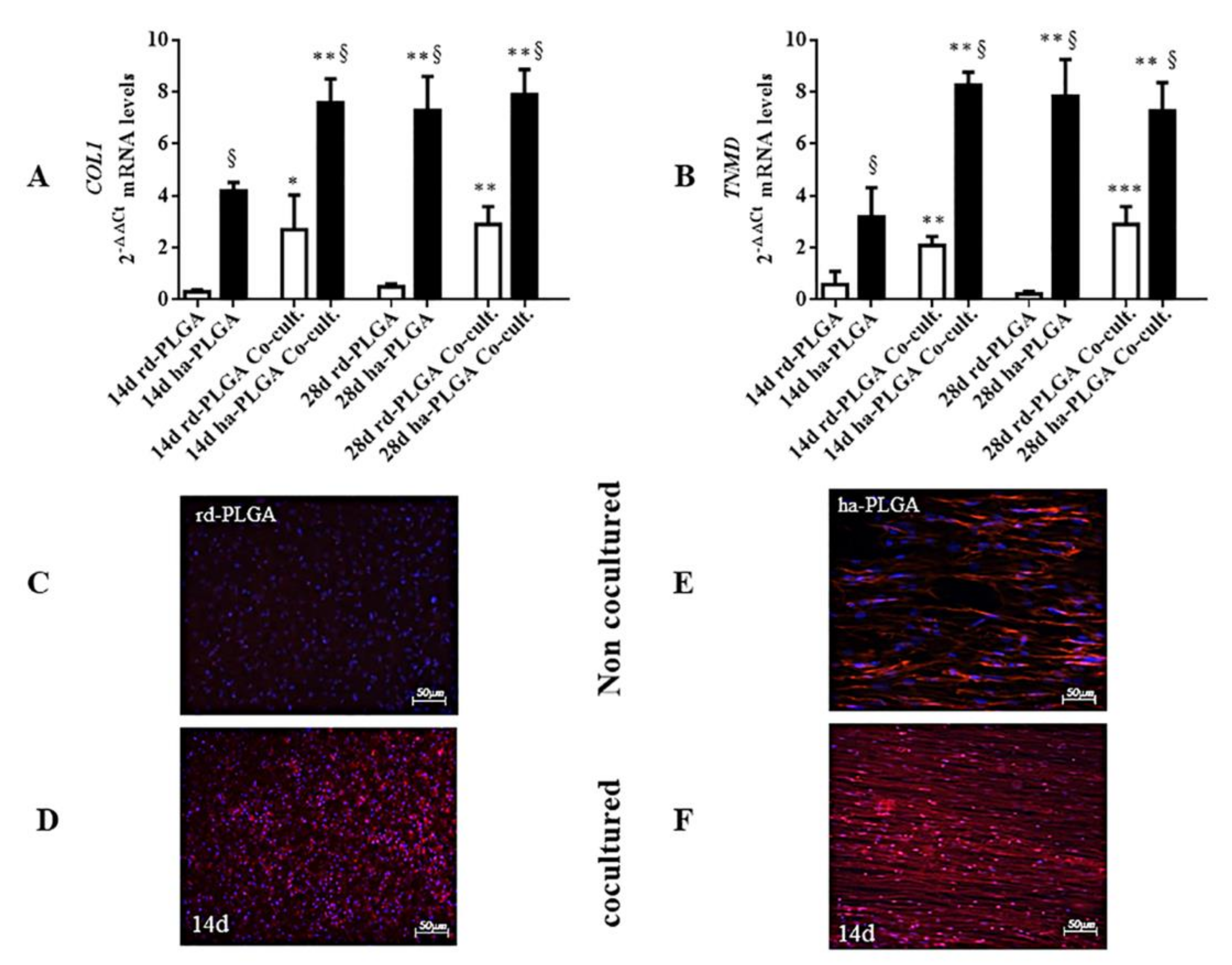 Cells 09 00303 g008 Cells 09 00303 g008