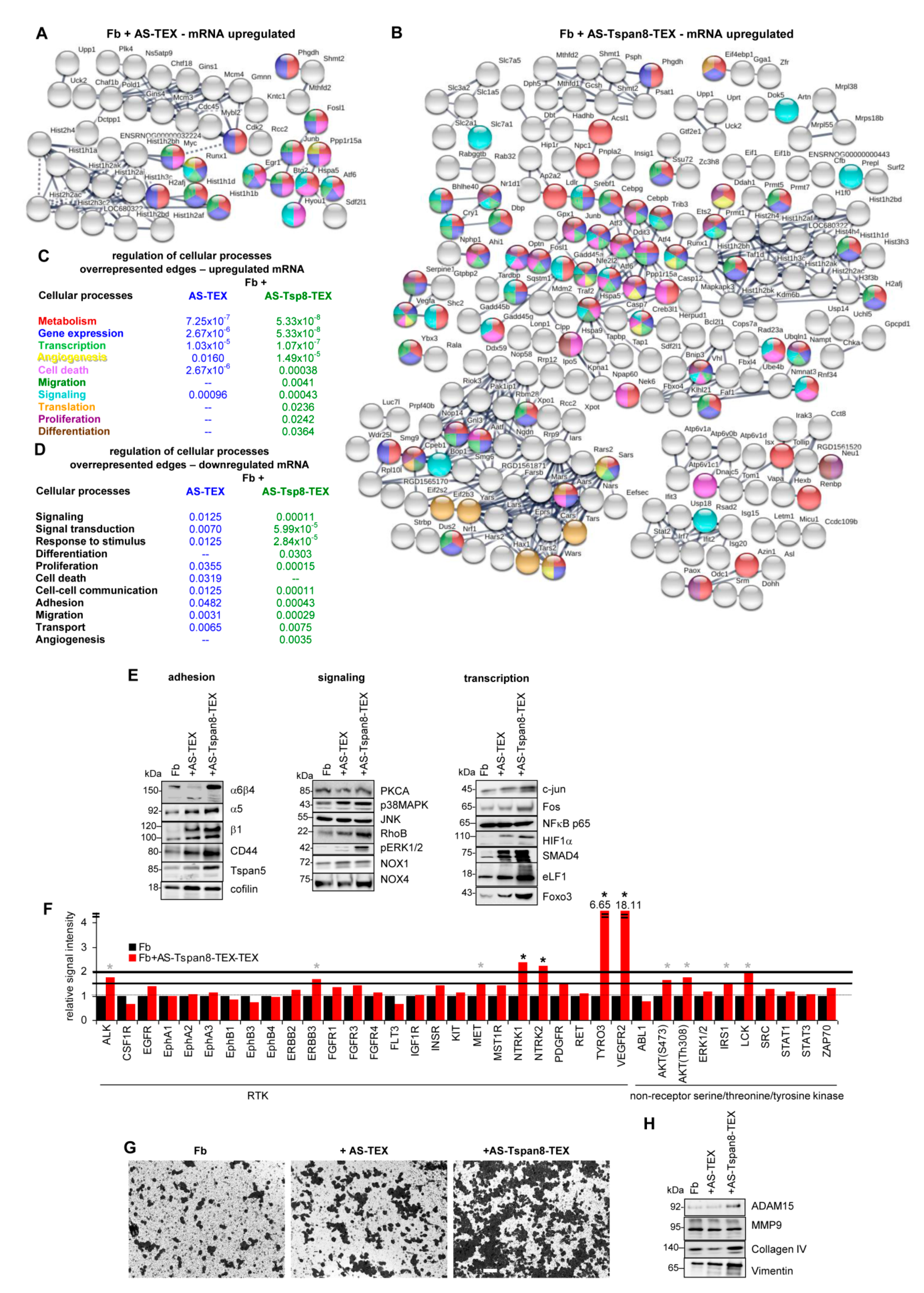 Cells 09 00319 g004a