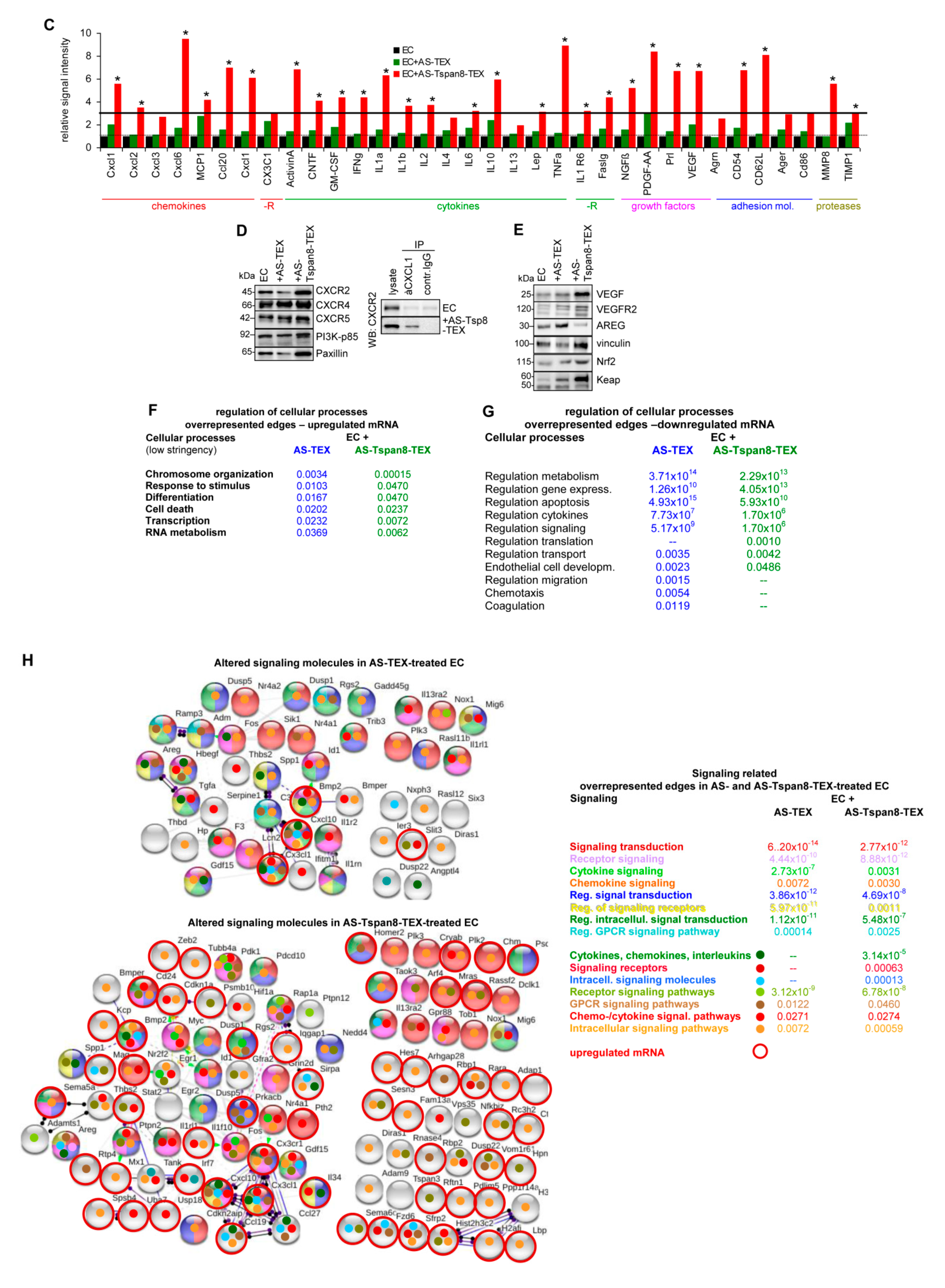 Cells 09 00319 g005b