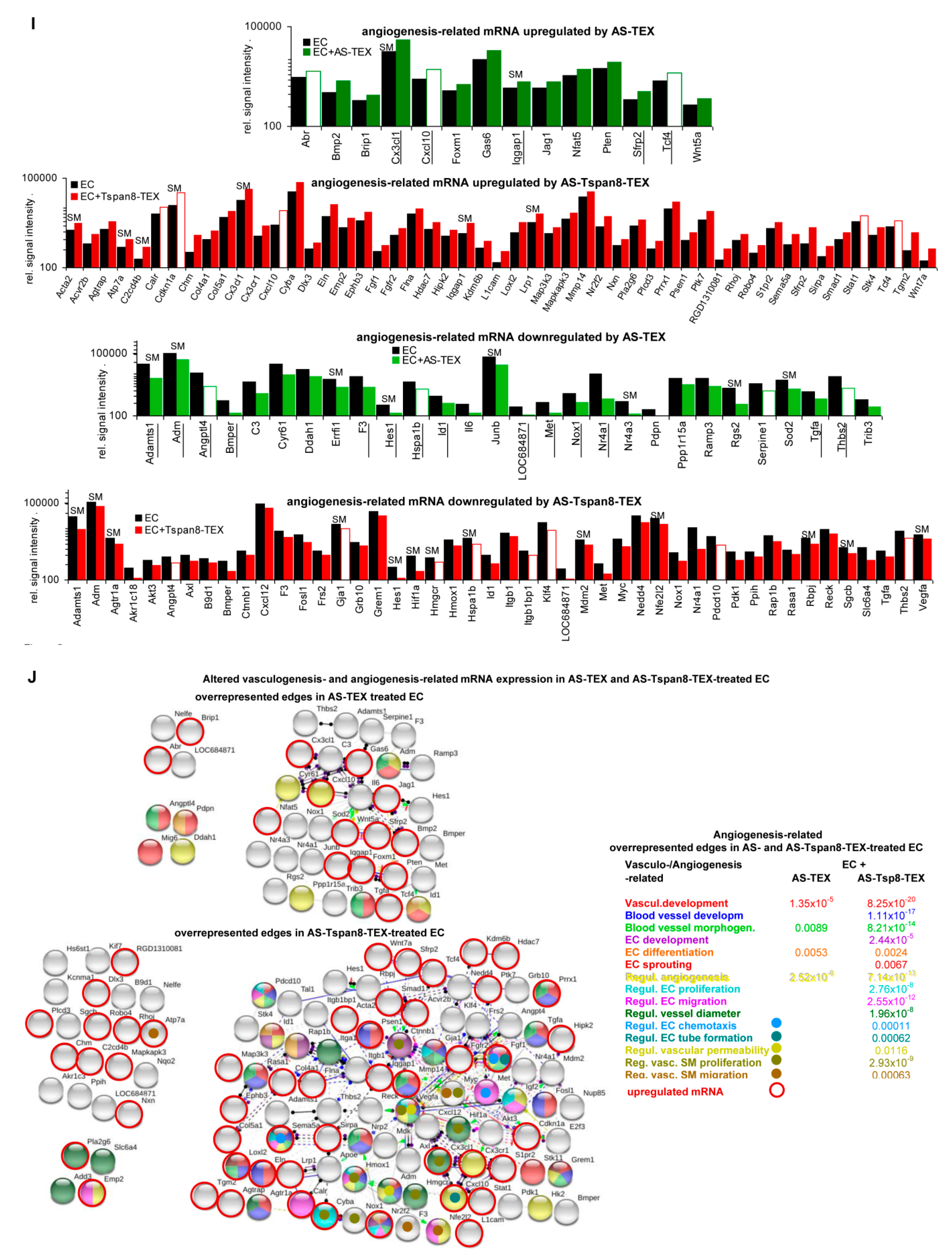 Cells 09 00319 g005c